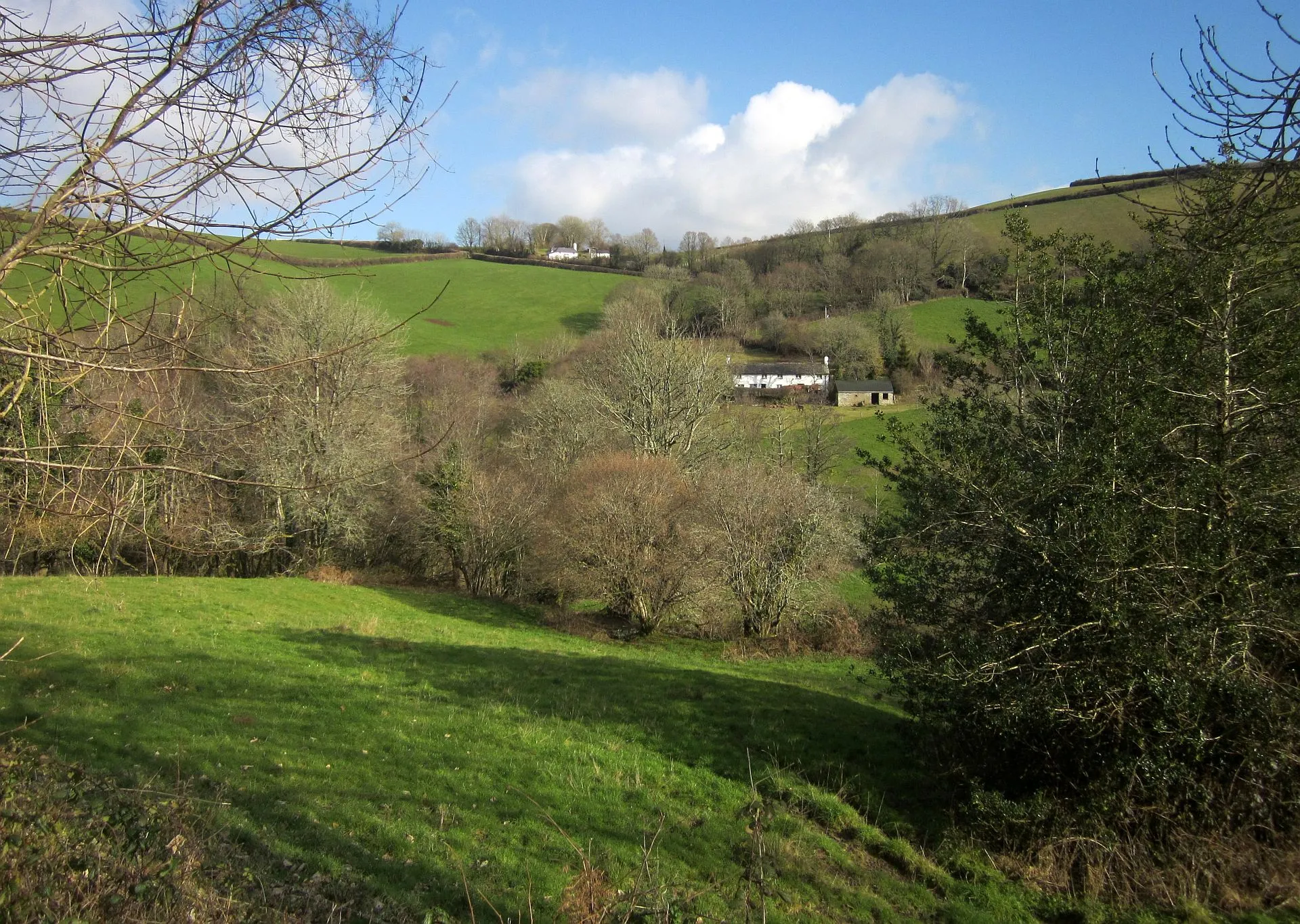 Photo showing: Across the West Looe valley