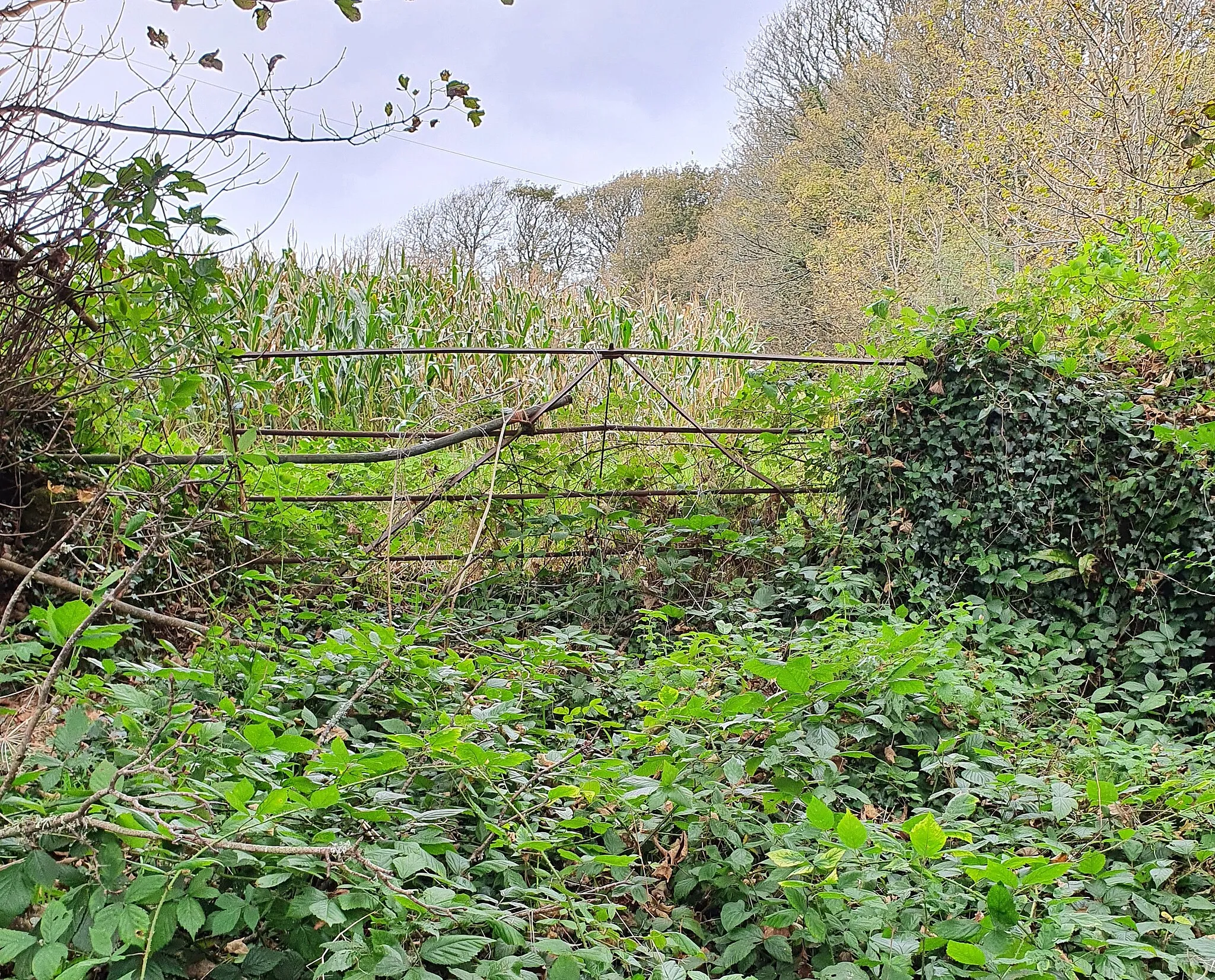 Photo showing: Penwith gate near the West Lodge, Hendra. On the road between Polteggan and Tremethick Cross.