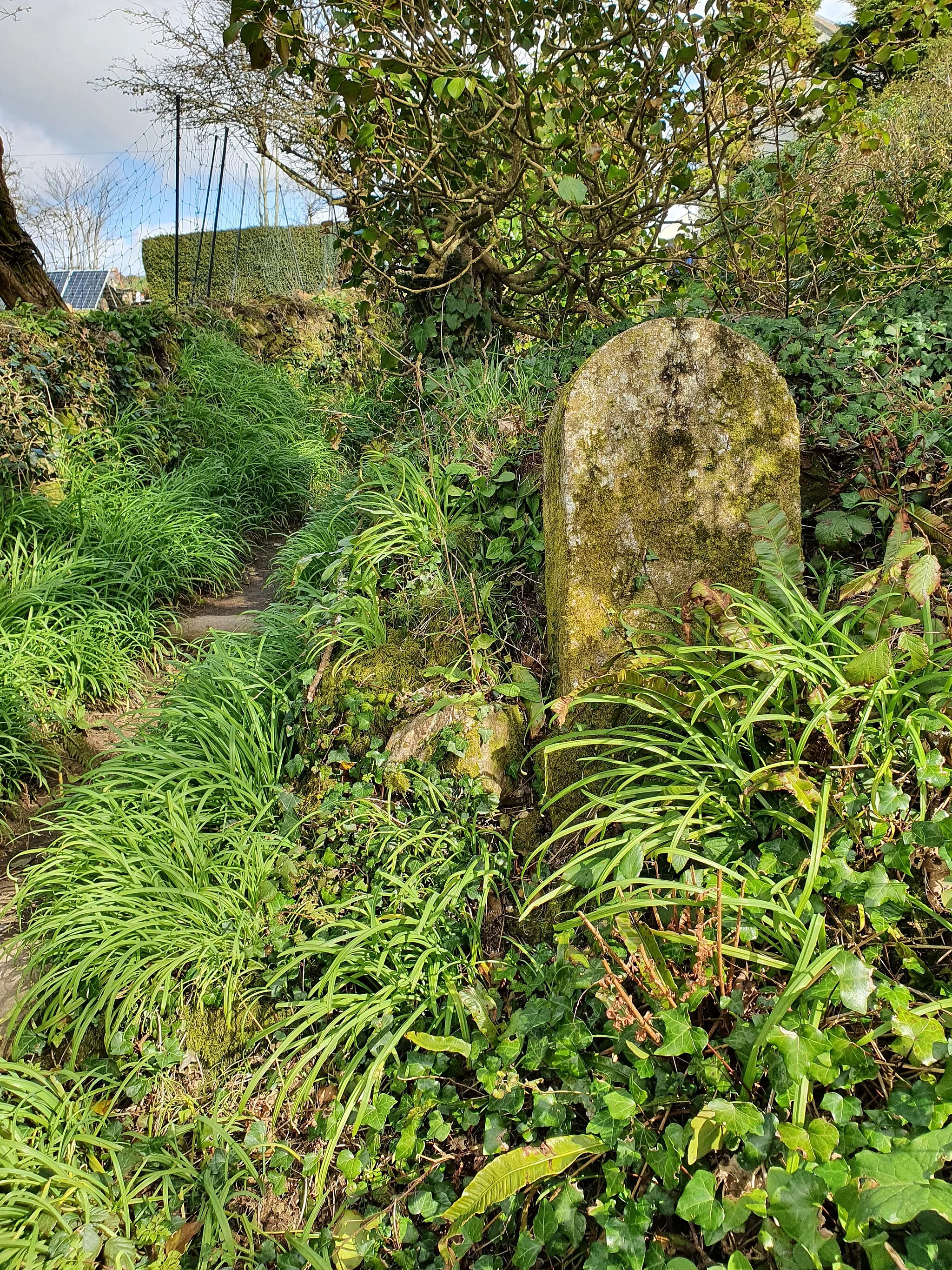 Photo showing: Borough of Penzance boundary stone at Tregaravah.