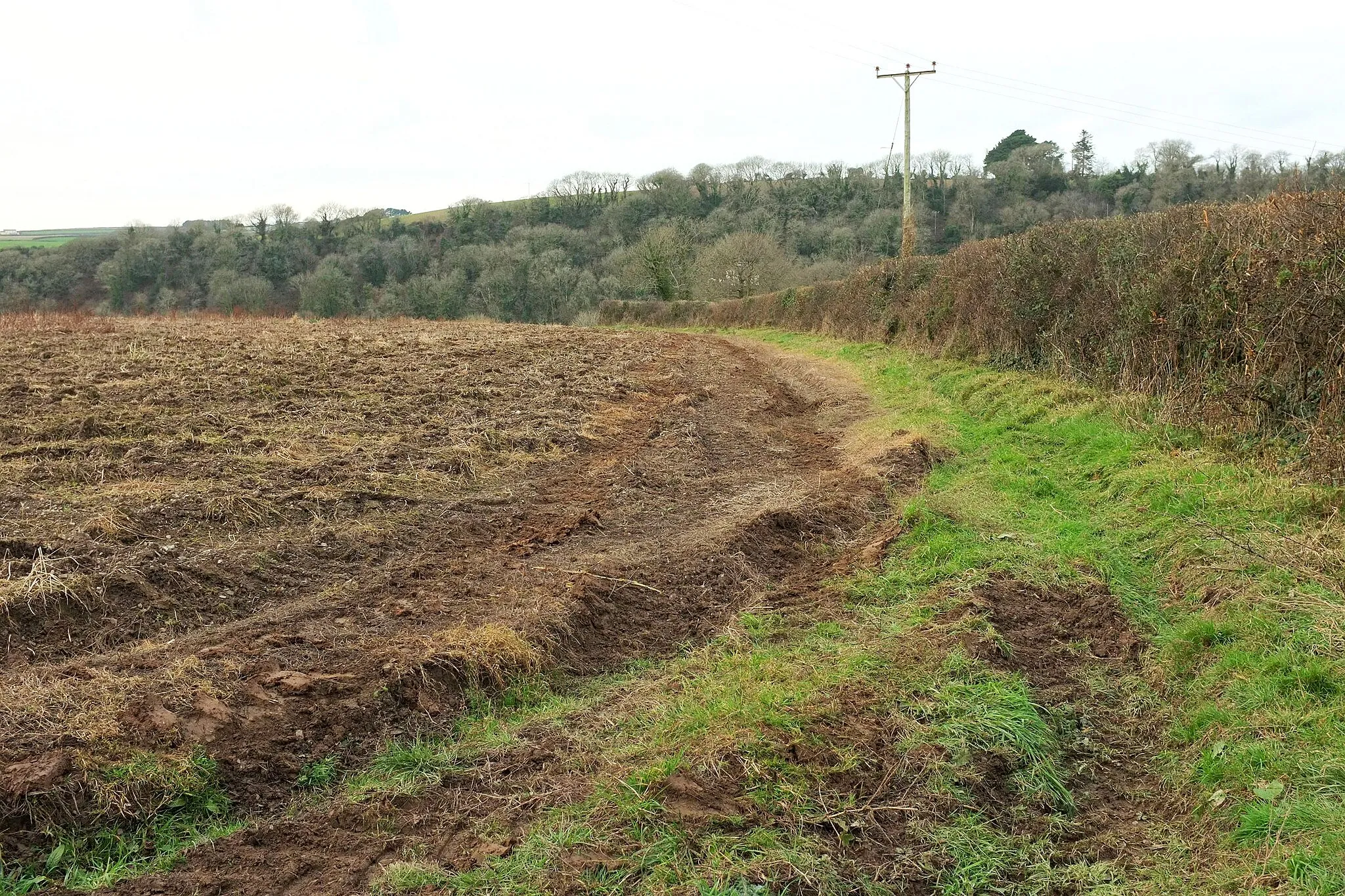 Photo showing: Field east of Polmorla