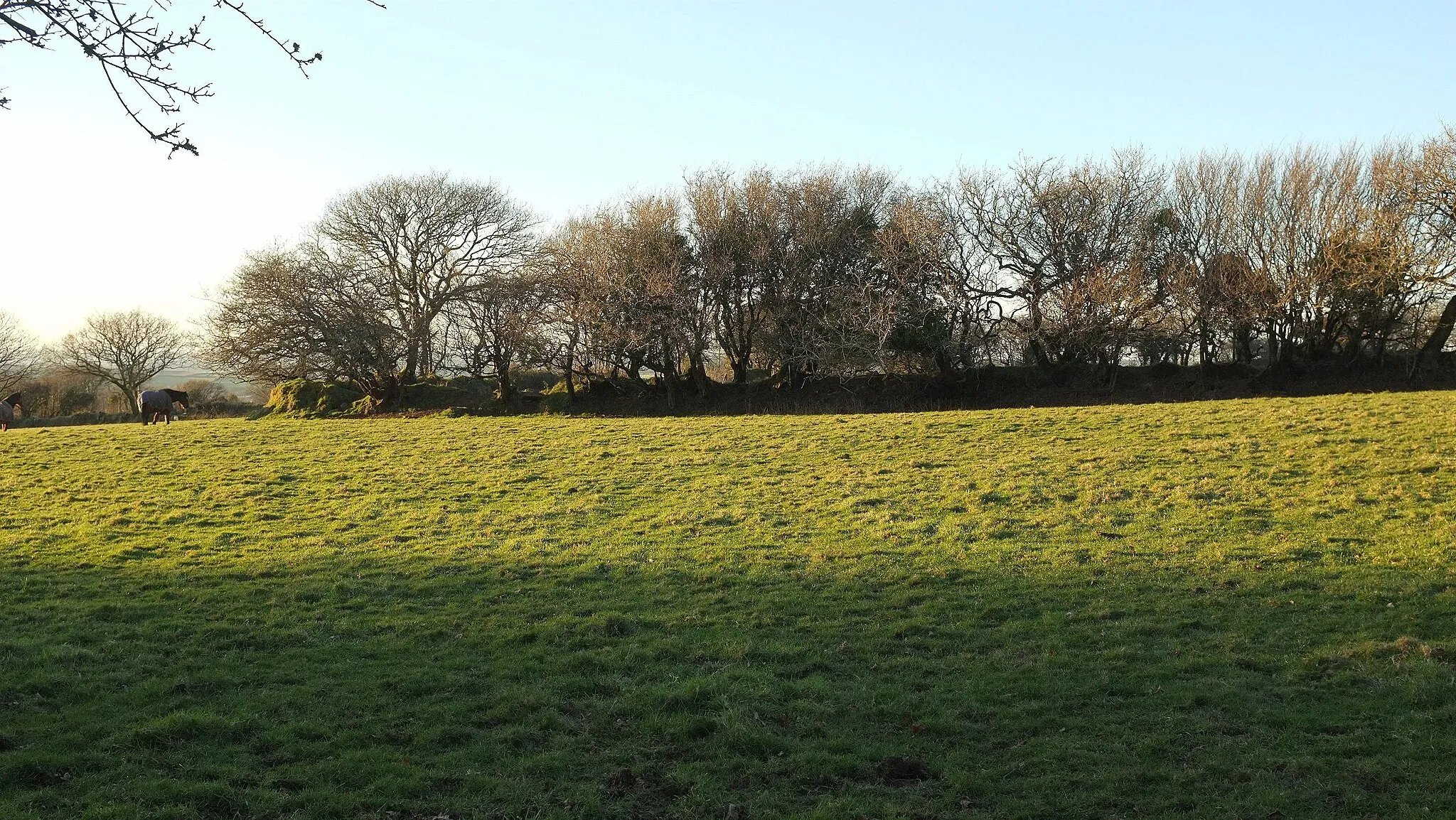 Photo showing: Field near Pendrift #2