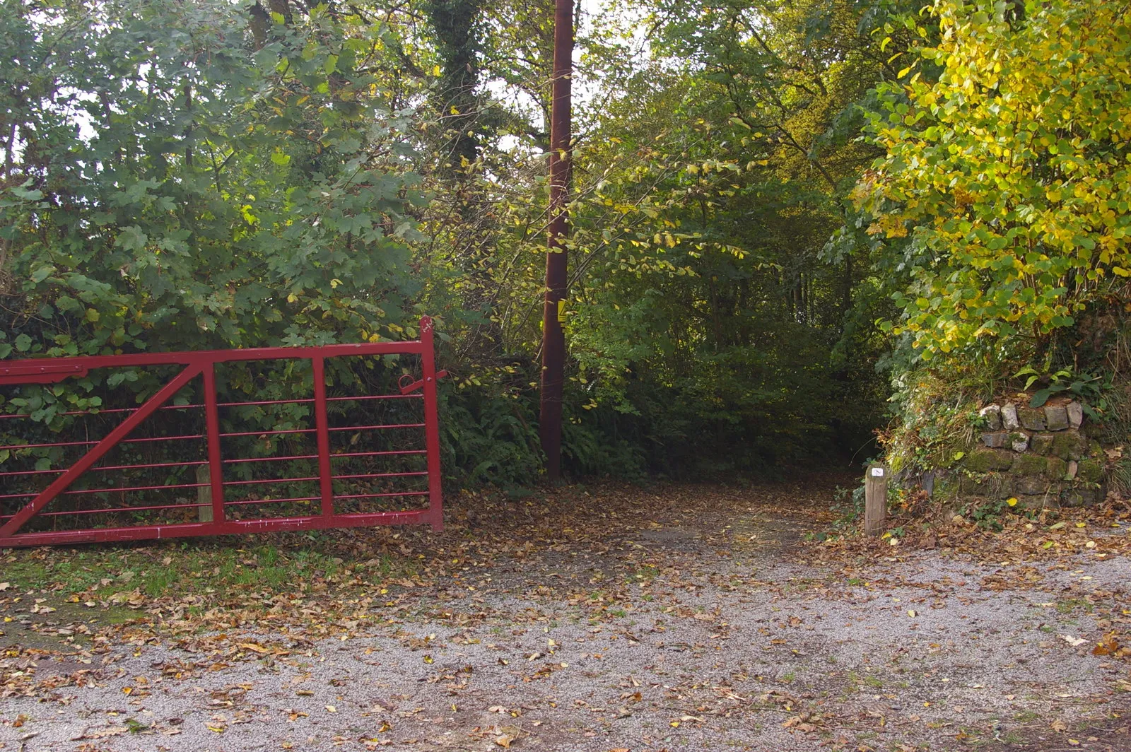 Photo showing: Track leading down from Cutmadoc