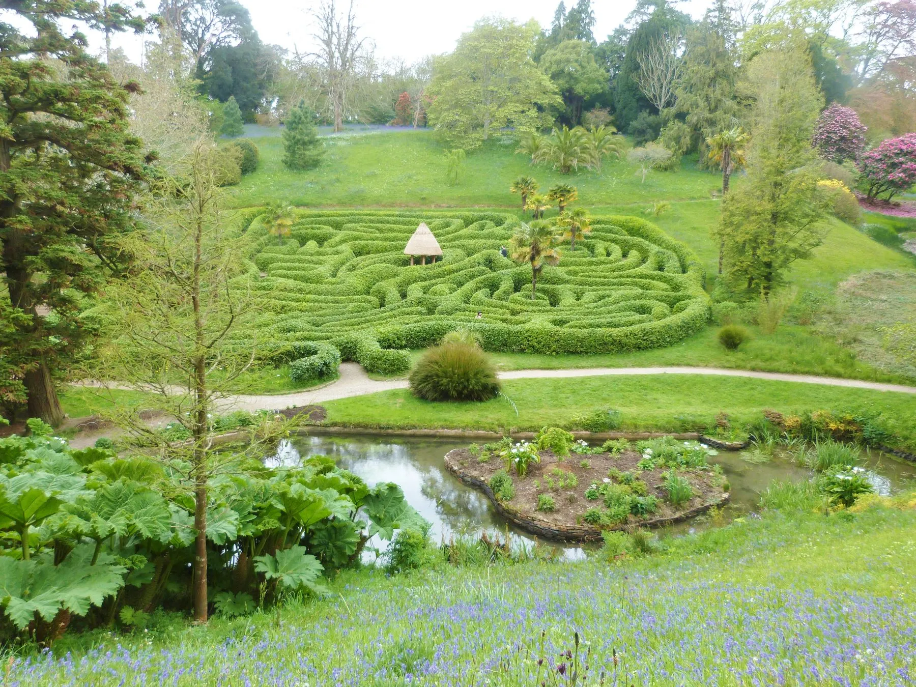 Photo showing: The Maze at Glendurgan Gardens, Cornwall