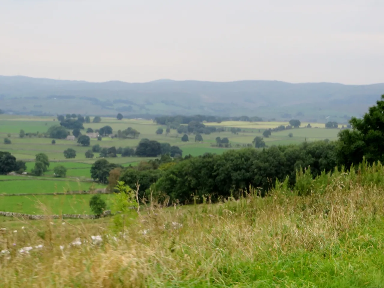 Photo showing: Grassland near Orton