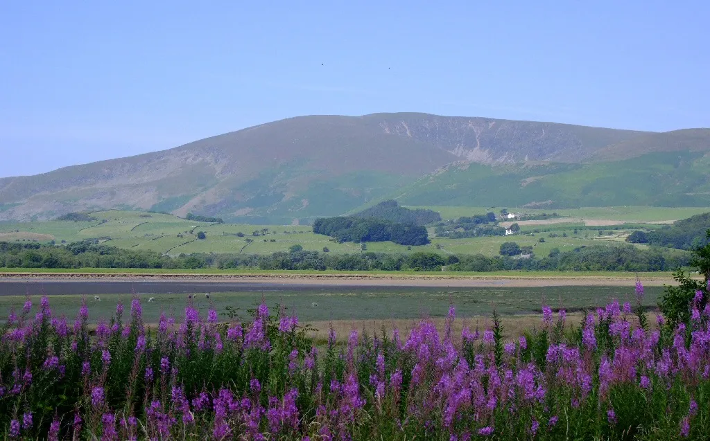 Photo showing: Black Combe, seen across the Duddon Estuary from Foxfield, Cumbria