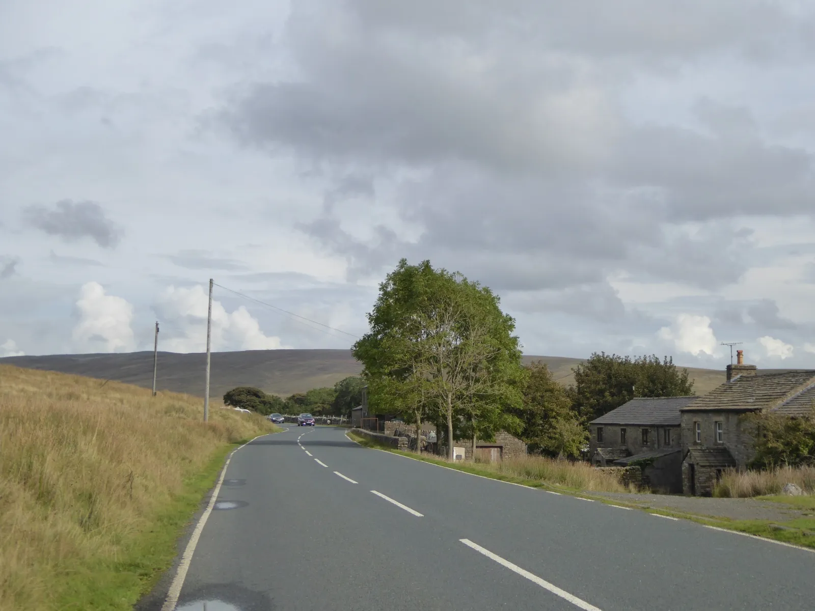 Photo showing: Trees and buildings at Gearstones