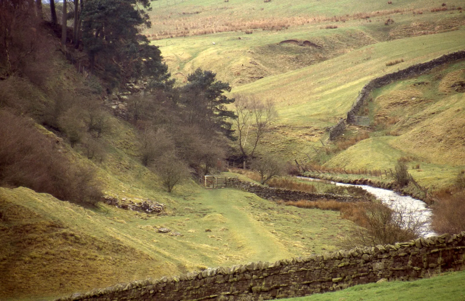 Photo showing: Haltwhistle Burn north of Haltwhistle. Location: Haltwhistle, Northumberland.