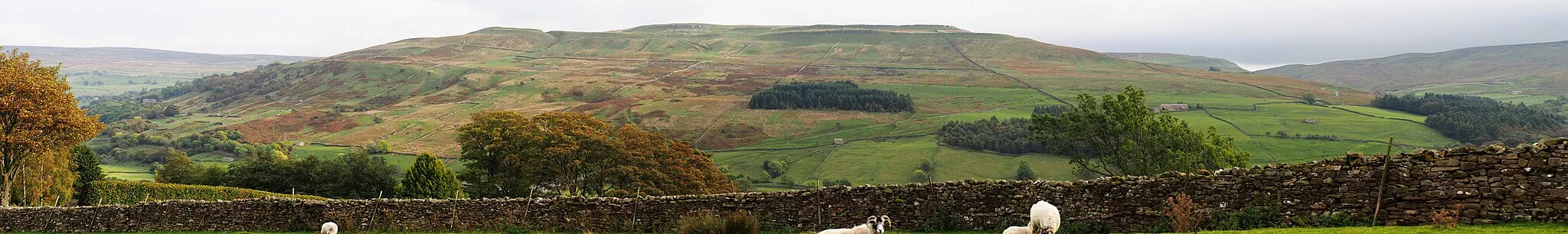 Photo showing: Looking from Gunnerside Lodge across Swaledale to Blea Barf