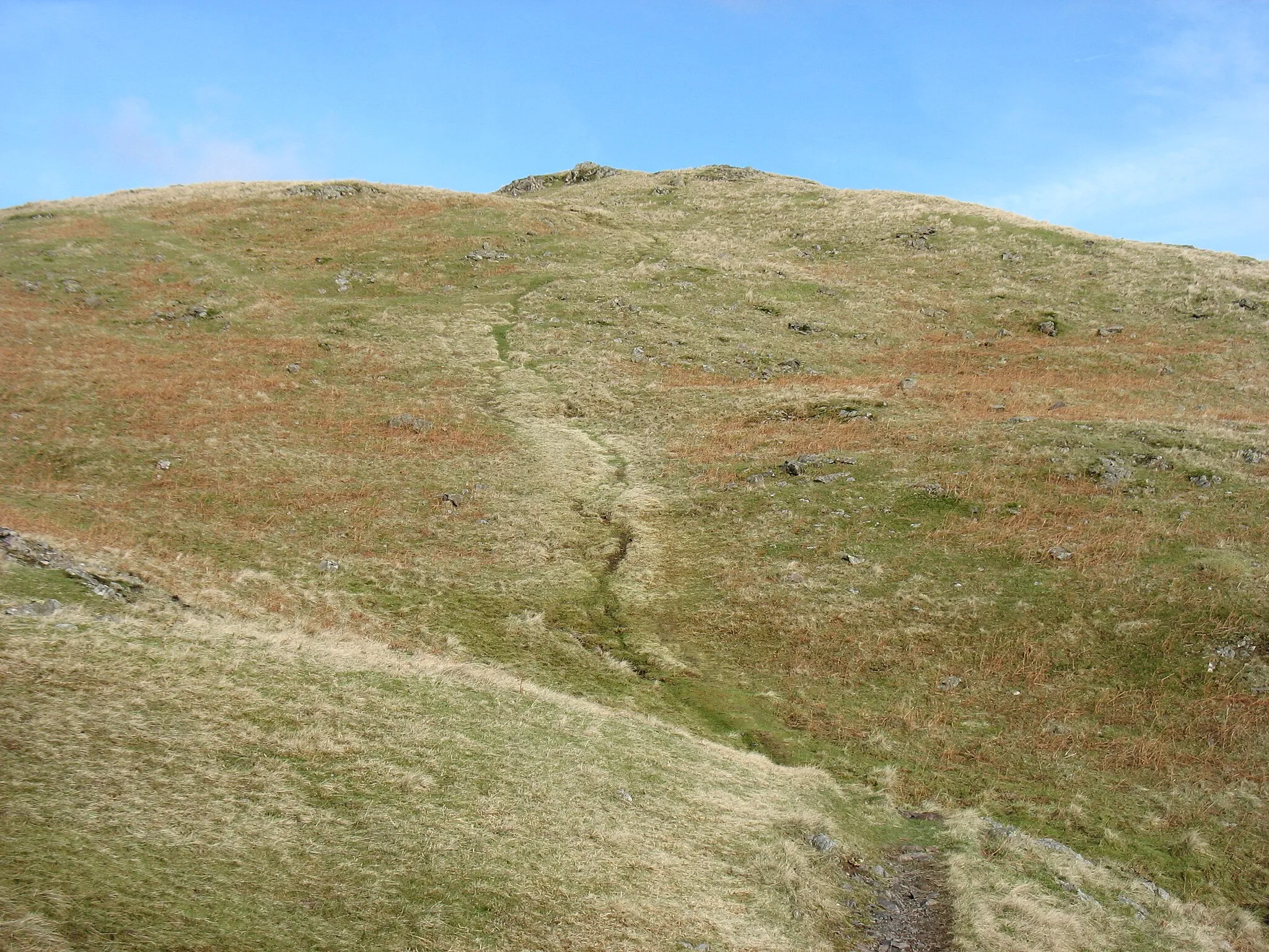 Photo showing: Approaching Silver How from the south