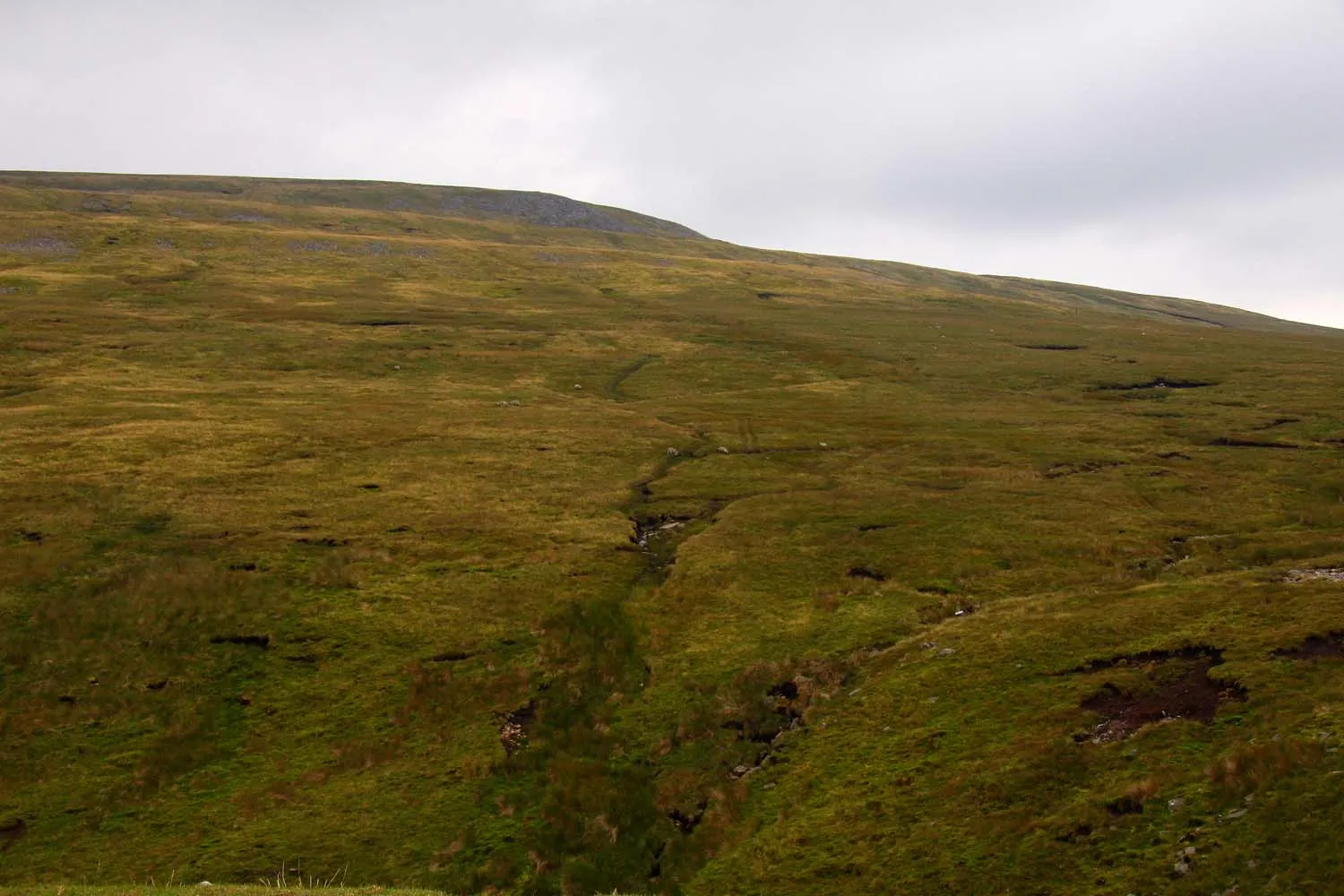 Photo showing: Bull Bogs in Buttertubs Pass