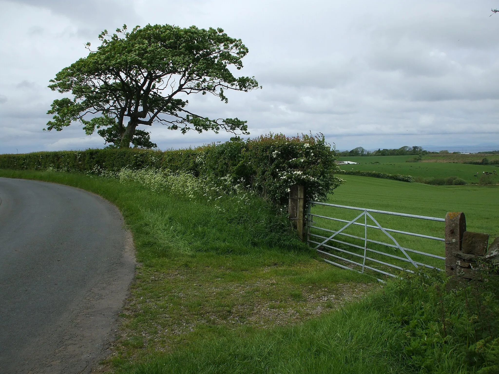 Photo showing: Country lane near Gilgarren