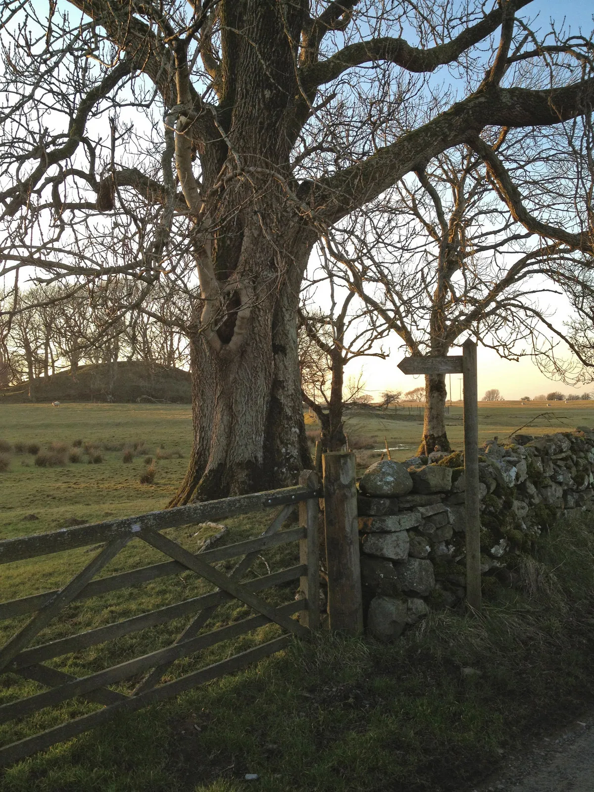 Photo showing: Footpath High Ireby