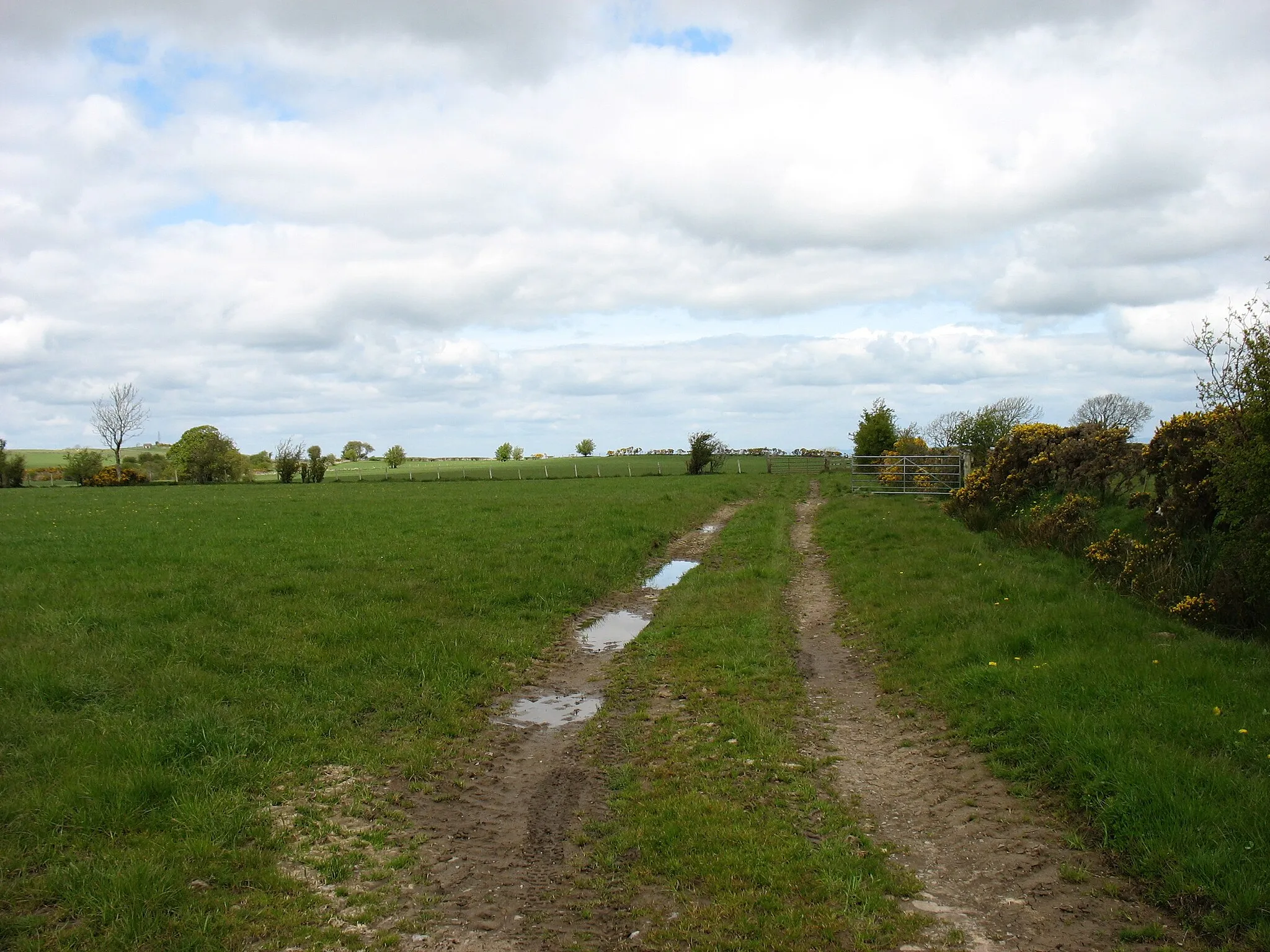 Photo showing: Fields west of Lamonby