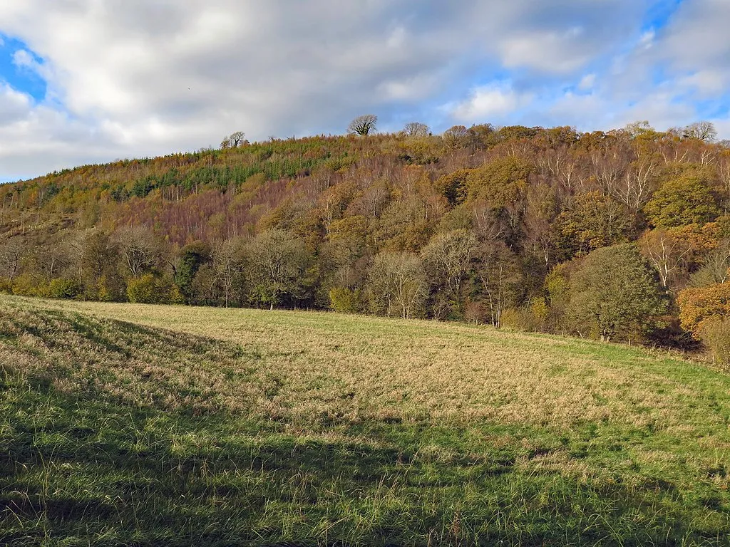 Photo showing: Autumn colours by Cald Beck