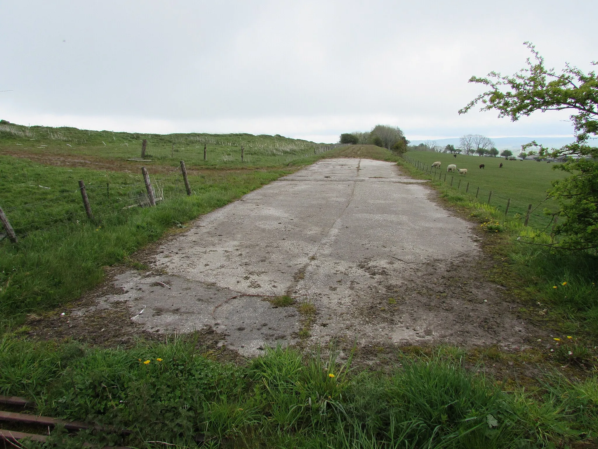 Photo showing: Access Road to Park Head Quarry