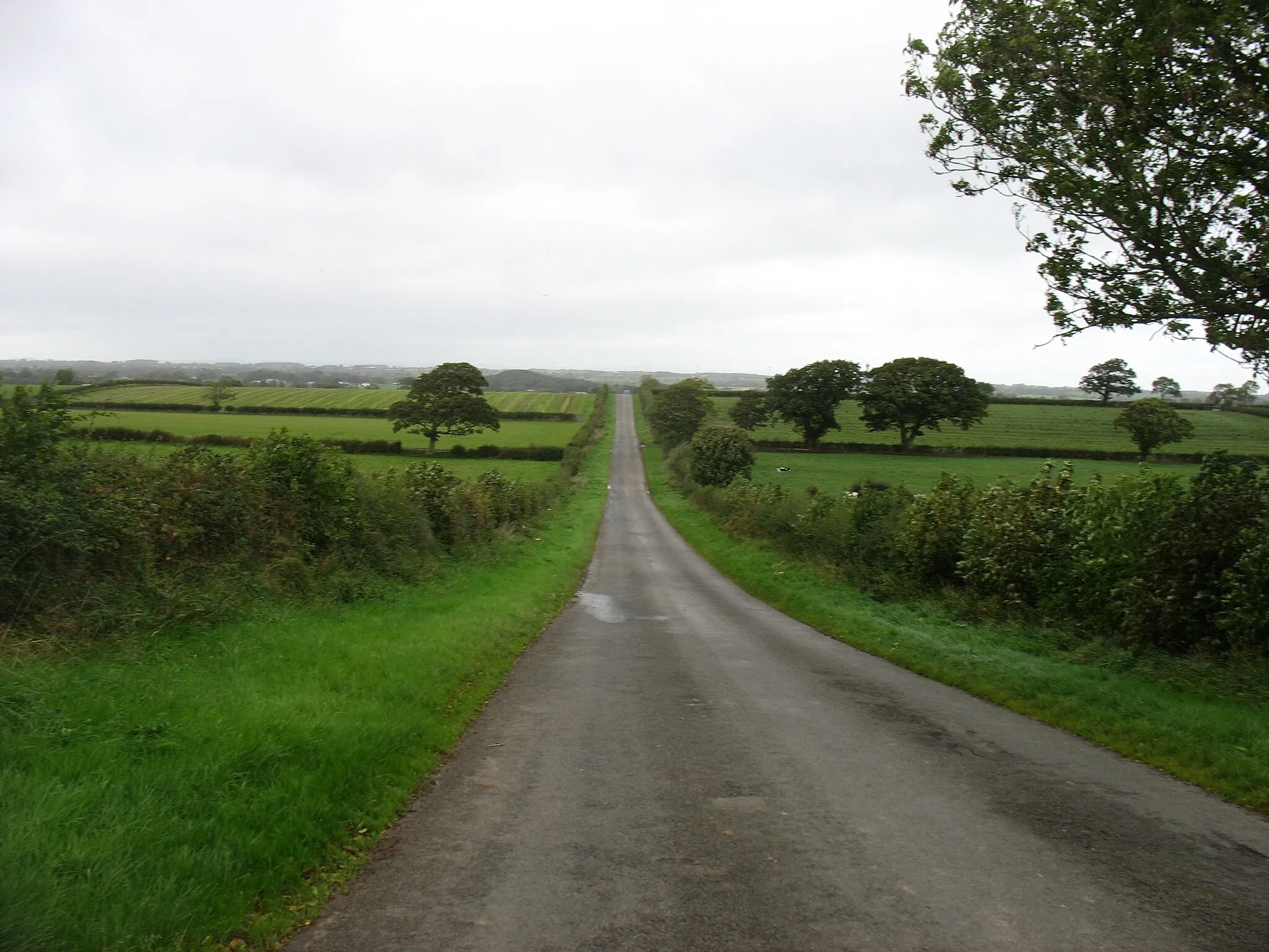 Photo showing: A minor road to Thursby