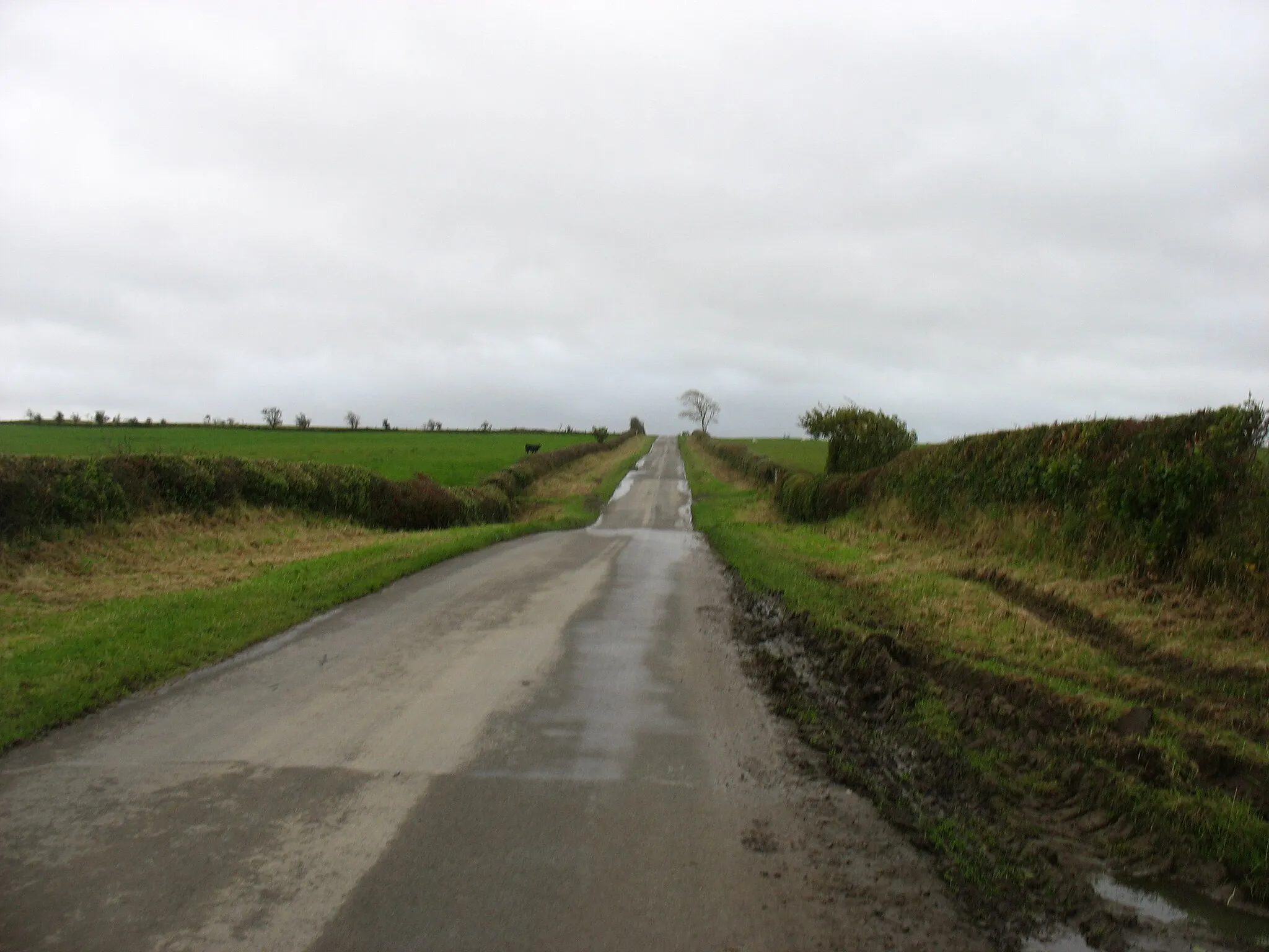 Photo showing: A minor road to Caldbeck