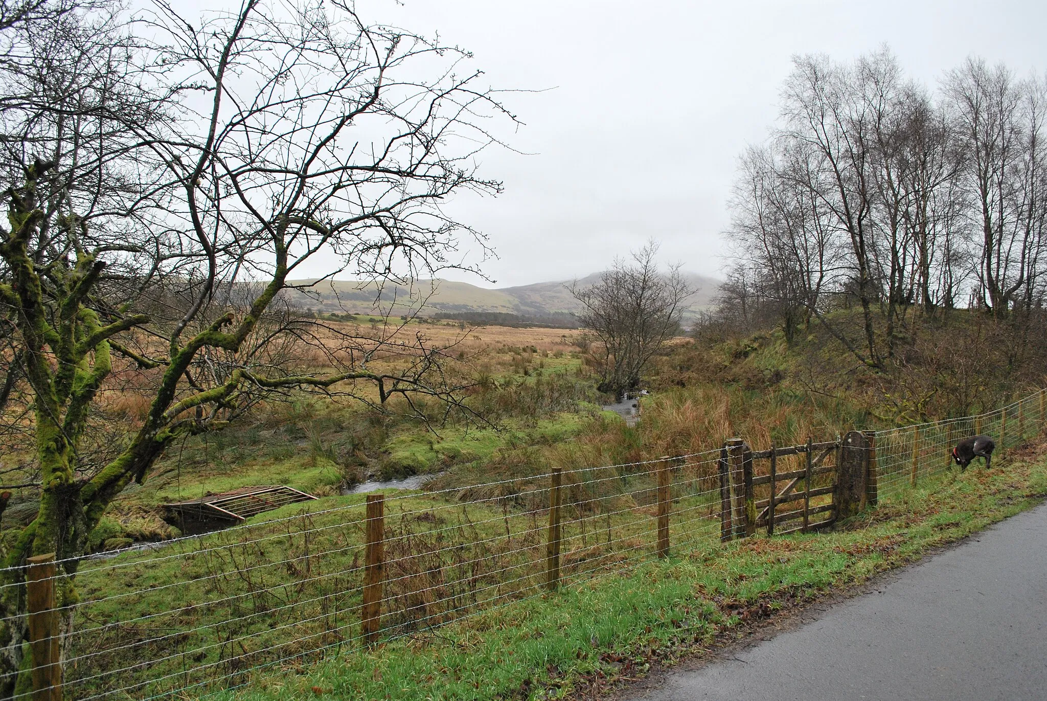 Photo showing: Bog like grazing land near Beckgrains Bridge