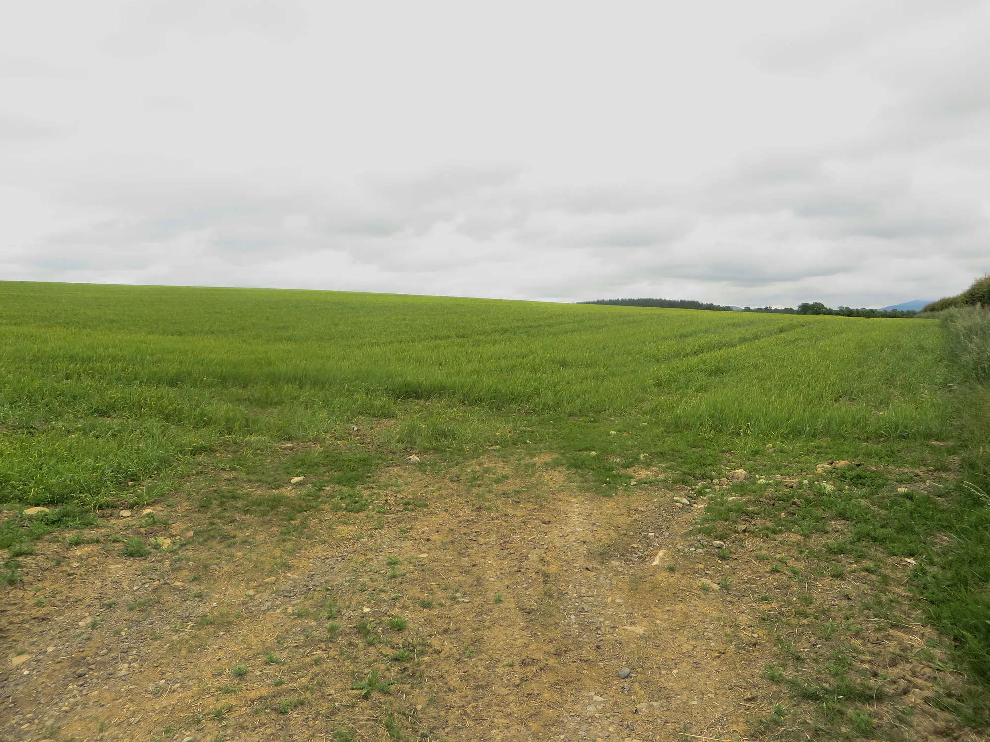Photo showing: Arable field north east of Bridekirk