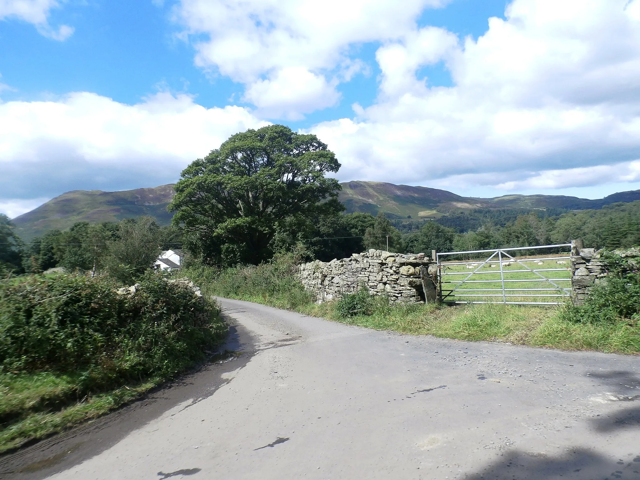 Photo showing: Minor Road Junction near Brackenthwaite