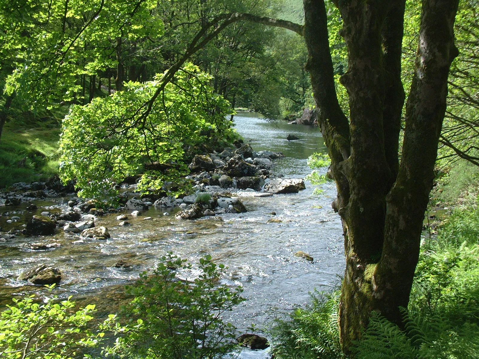 Photo showing: The Stonethwaite Beck at the south end of Derwent Water.