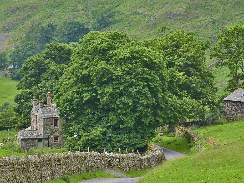 Photo showing: Hause Farm