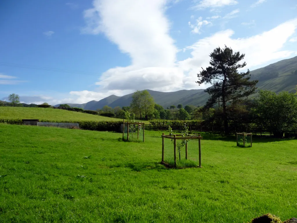Photo showing: Apple Trees, Troutbeck, Cumbria