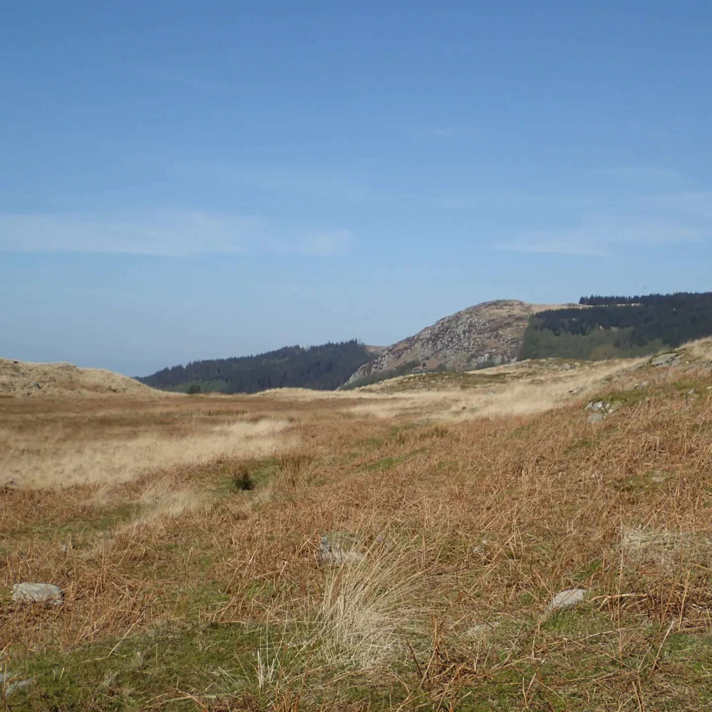 Photo showing: Eskdale, UK