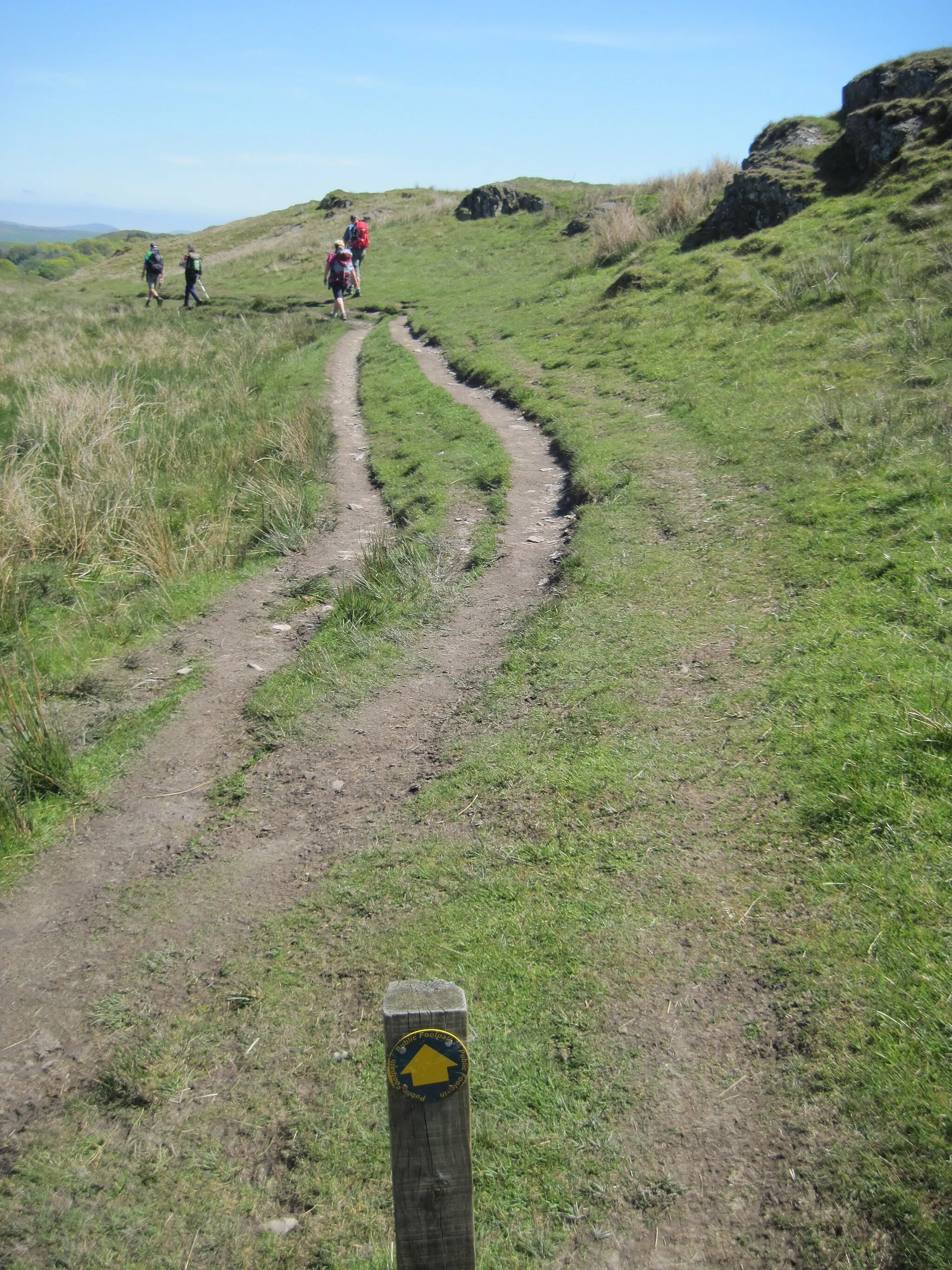 Photo showing: A  well  marked  footpath