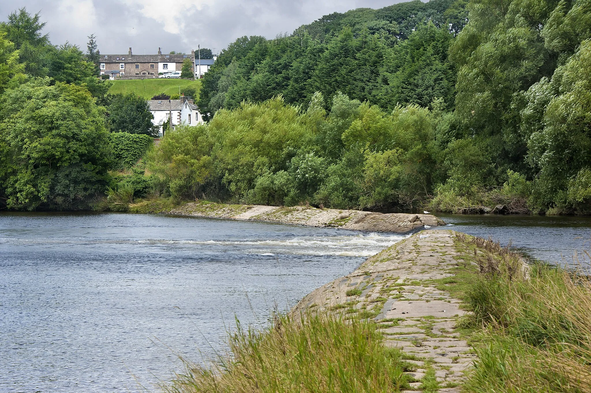 Photo showing: A weir on the River Lune with a seagull guarding each side