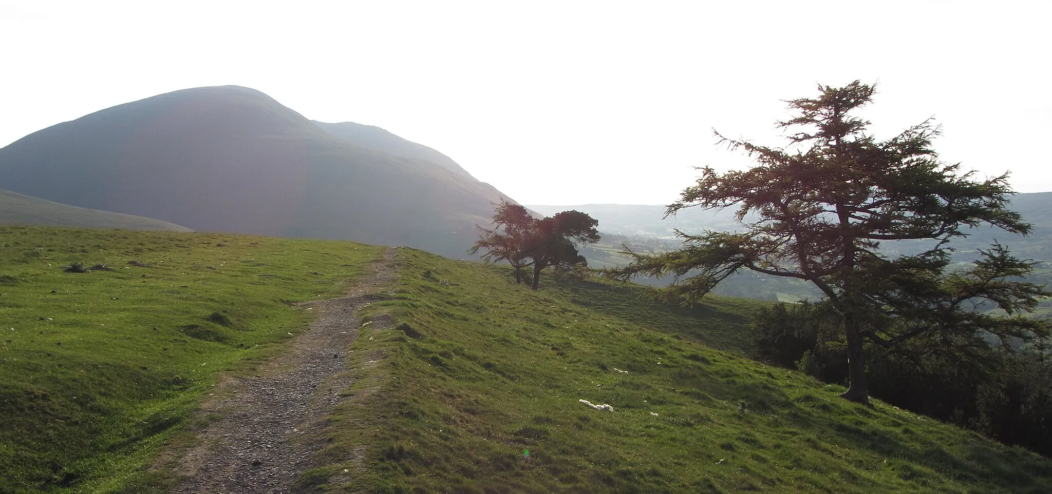 Photo showing: Path on Latrigg