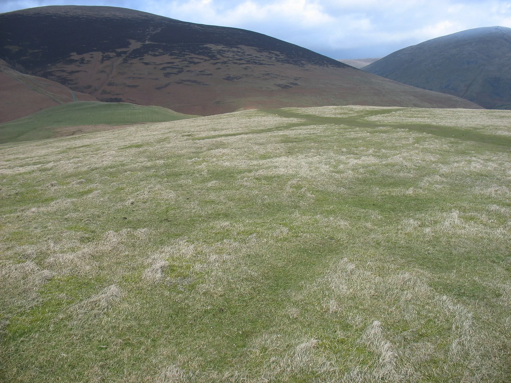 Photo showing: The northern slopes of Latrigg