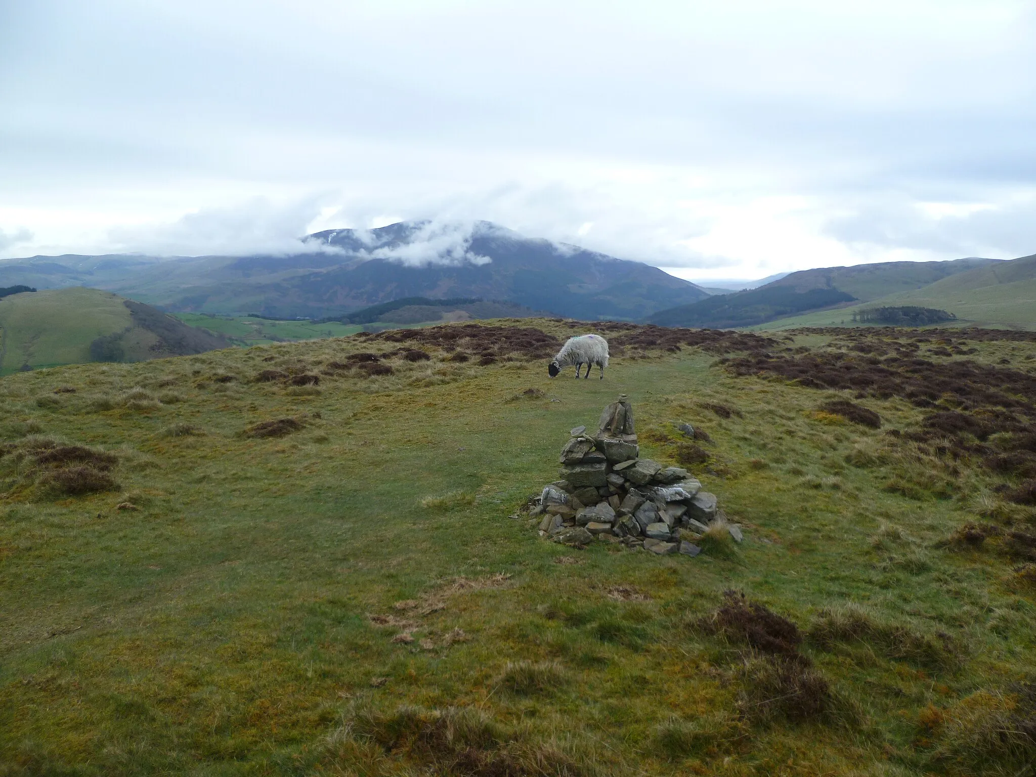 Photo showing: On Ling Fell