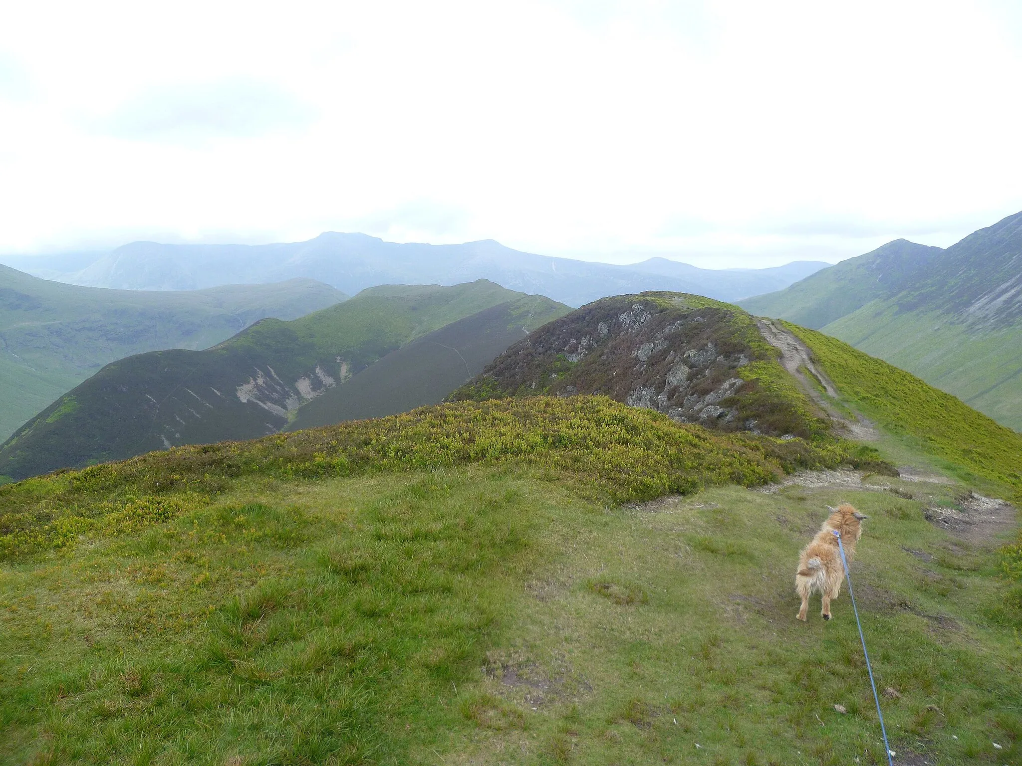 Photo showing: Leaving Ard Crags