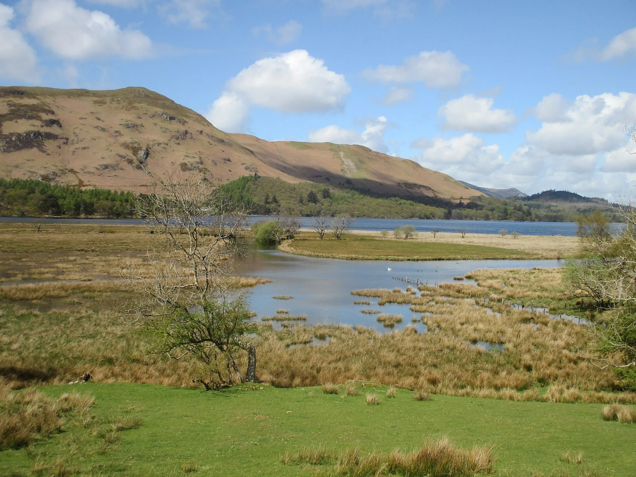 Photo showing: Catbells to the left, and Skelgill Bank ( a subsidiary peak) to the right.  Photographed from the banks of the River Derwent near Lodore.