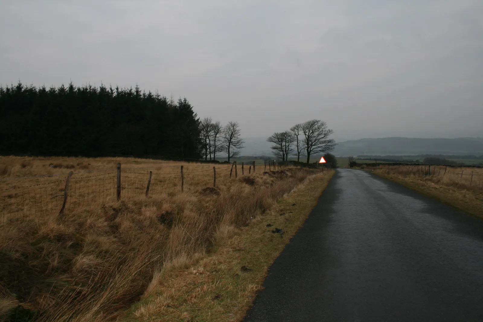 Photo showing: Moor Lane and plantation