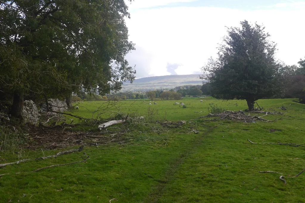 Photo showing: Flood debris, Wensleydale