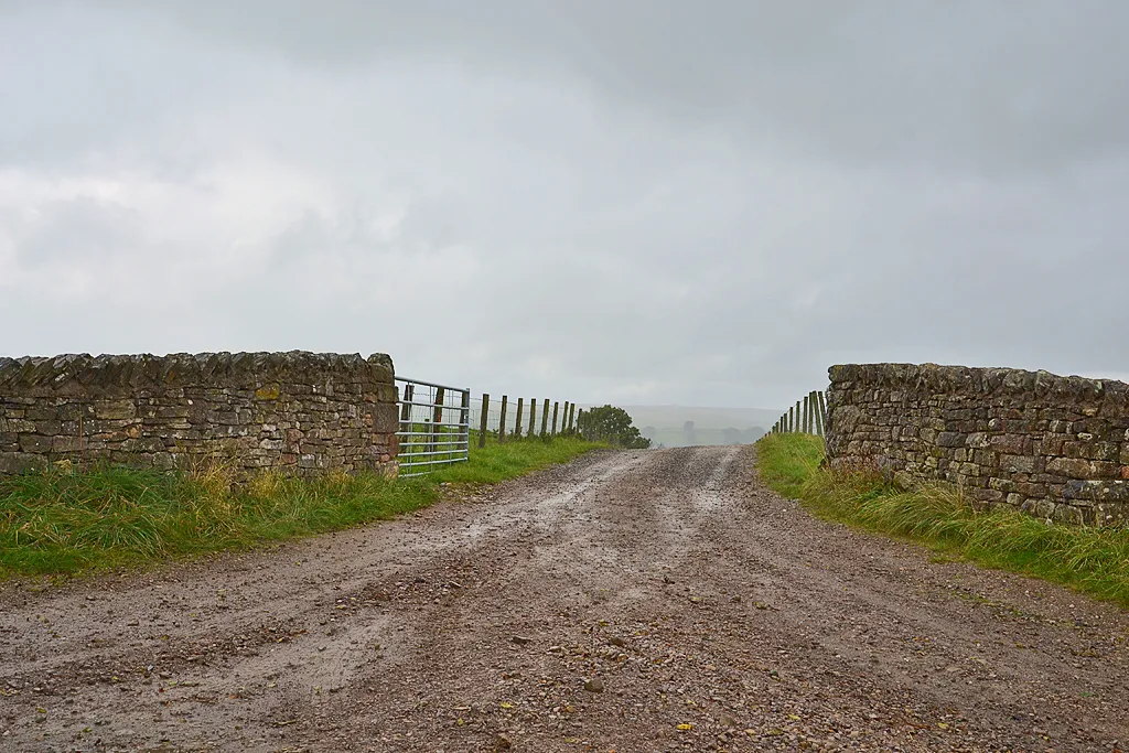 Photo showing: Farm track entrance