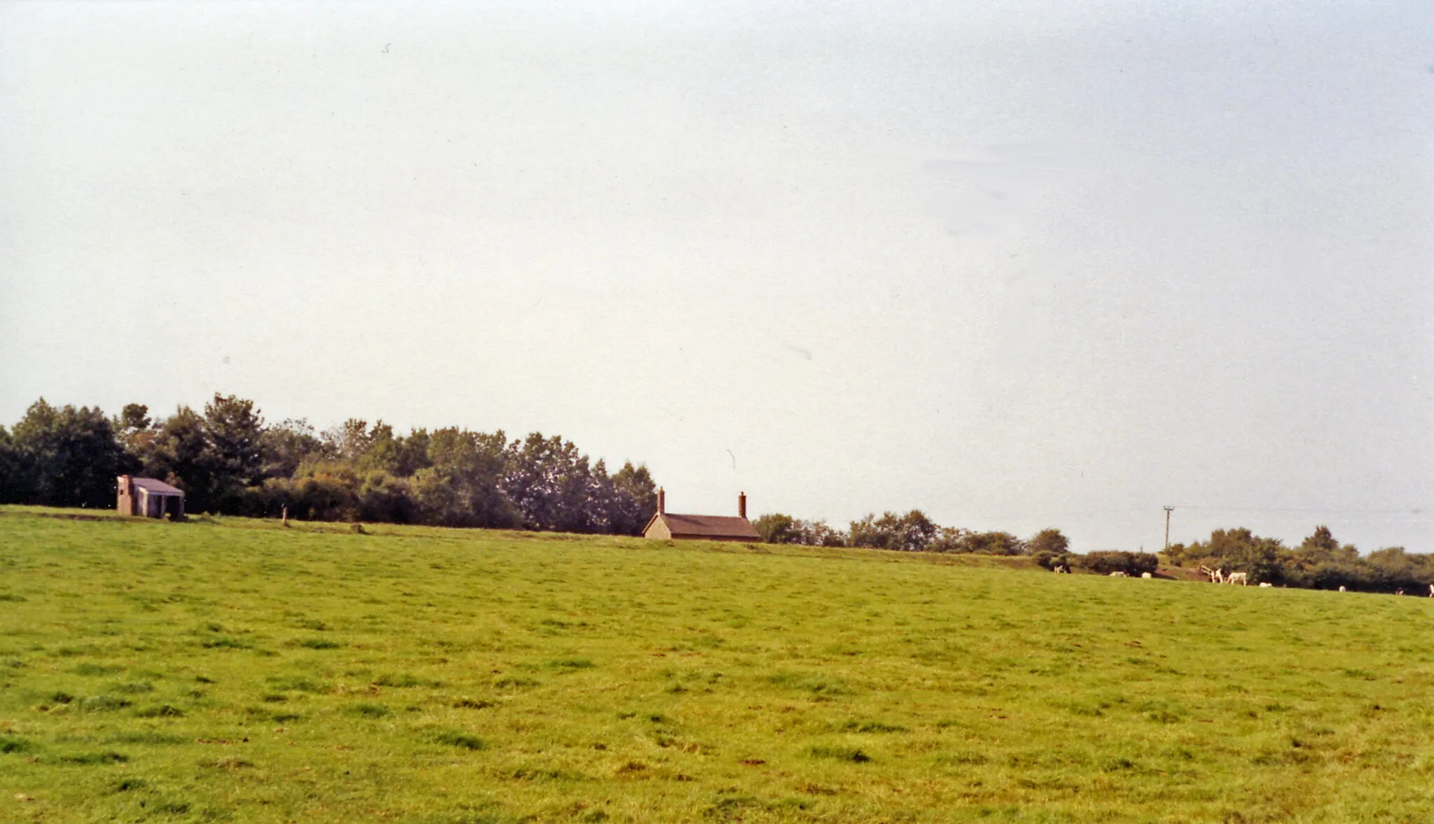 Photo showing: Abbey Junction station (site/remains).
A regrettably uninspiring view northwestwards from the B5307: ex-NBR & Caledonian Joint junction of the NBR Carlisle (to right) - Silloth (upper left) line with the short-lived Solway Junction Joint line from Brayton (Maryport & Carlisle Rly.)(lower left) over the Solway at Bowness to Annan (Caledonian)(near right). The station closed on 1/9/21 when the Joint line (with its own platform here) was closed over the Solway Viaduct as long ago as 20/5/21, then reopened in 5/22 just from Abbey Junction to Brayton for goods and excursion traffic until eventual closure on 13/2/33. The NBR Silloth line through Abbey Town (nearby to the left) was closed on 7/9/64.