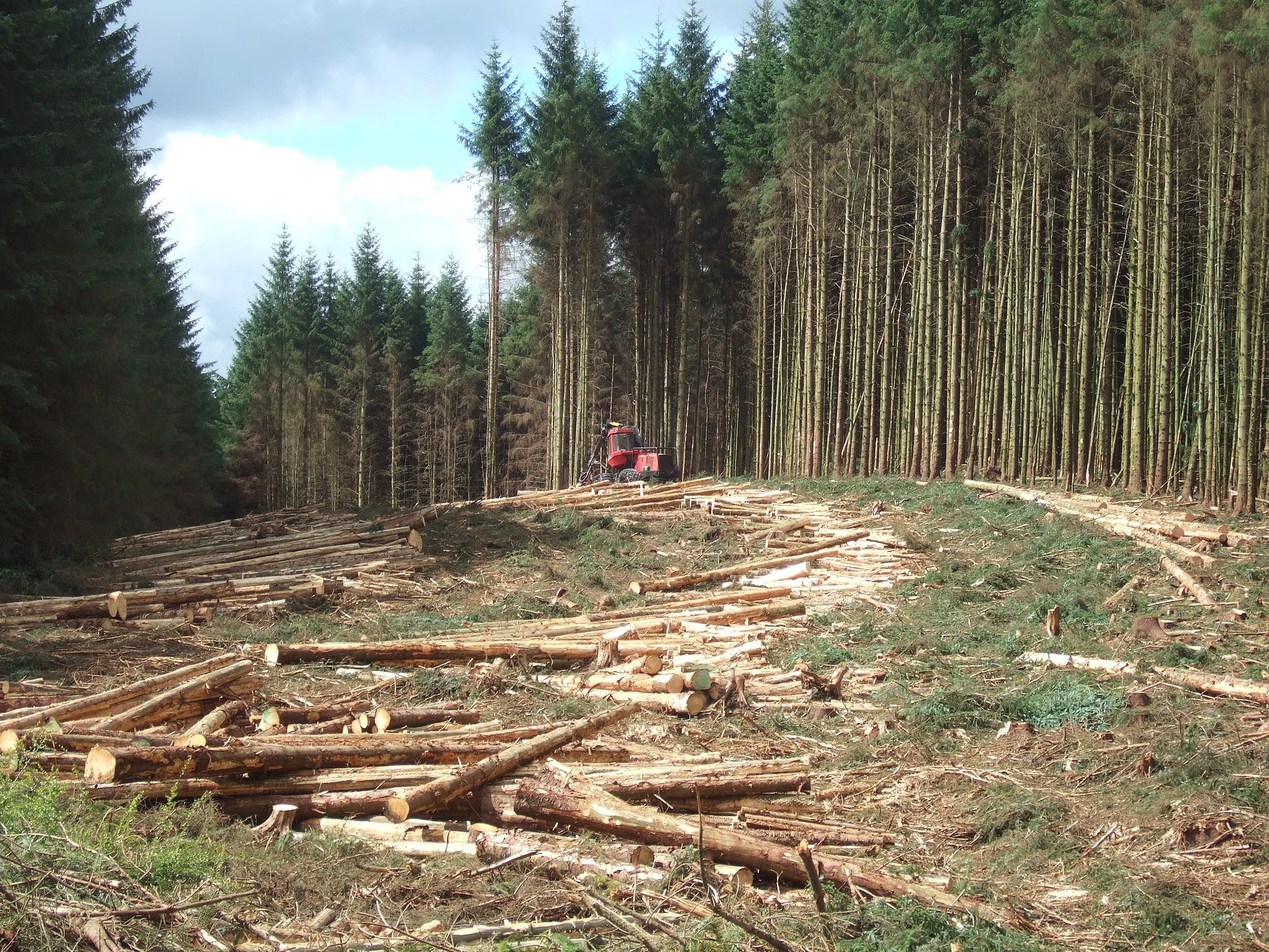 Photo showing: Timber harvesting at Kielder, a Valmet 941 harvester working in (southern) Kielder Forest, Northumberland, England