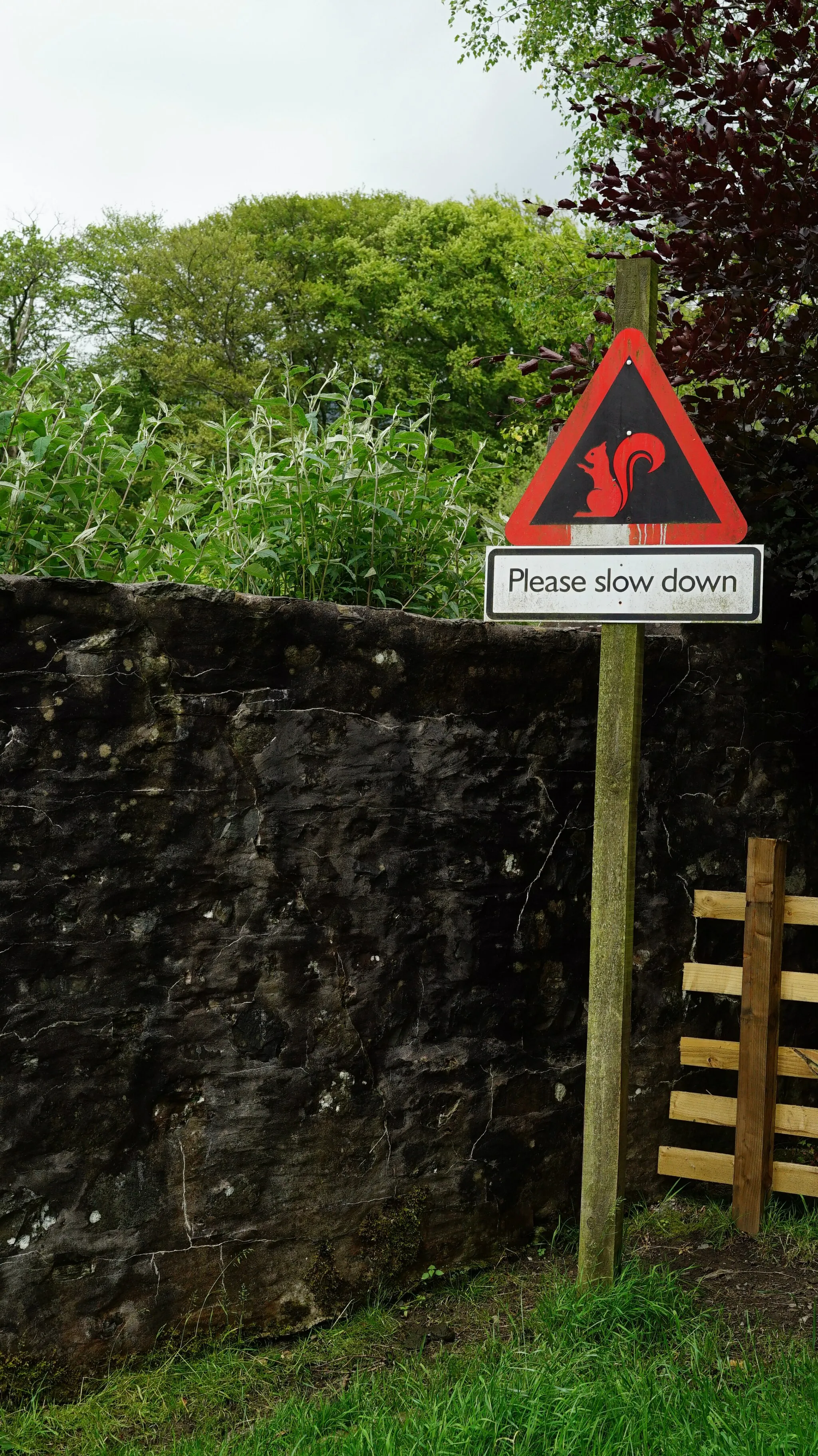 Photo showing: Red Squirrel Warning Sign