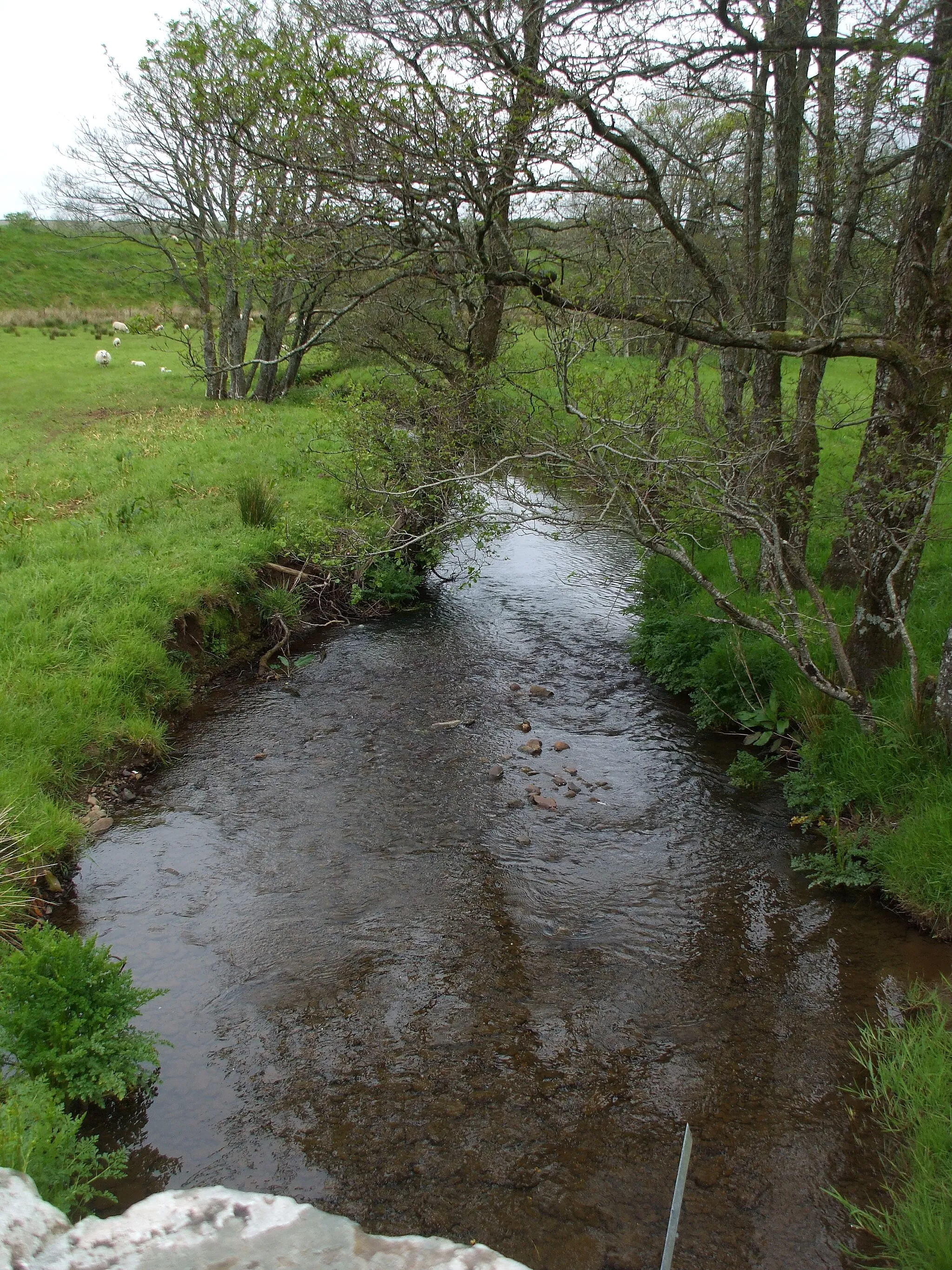 Photo showing: River Marton