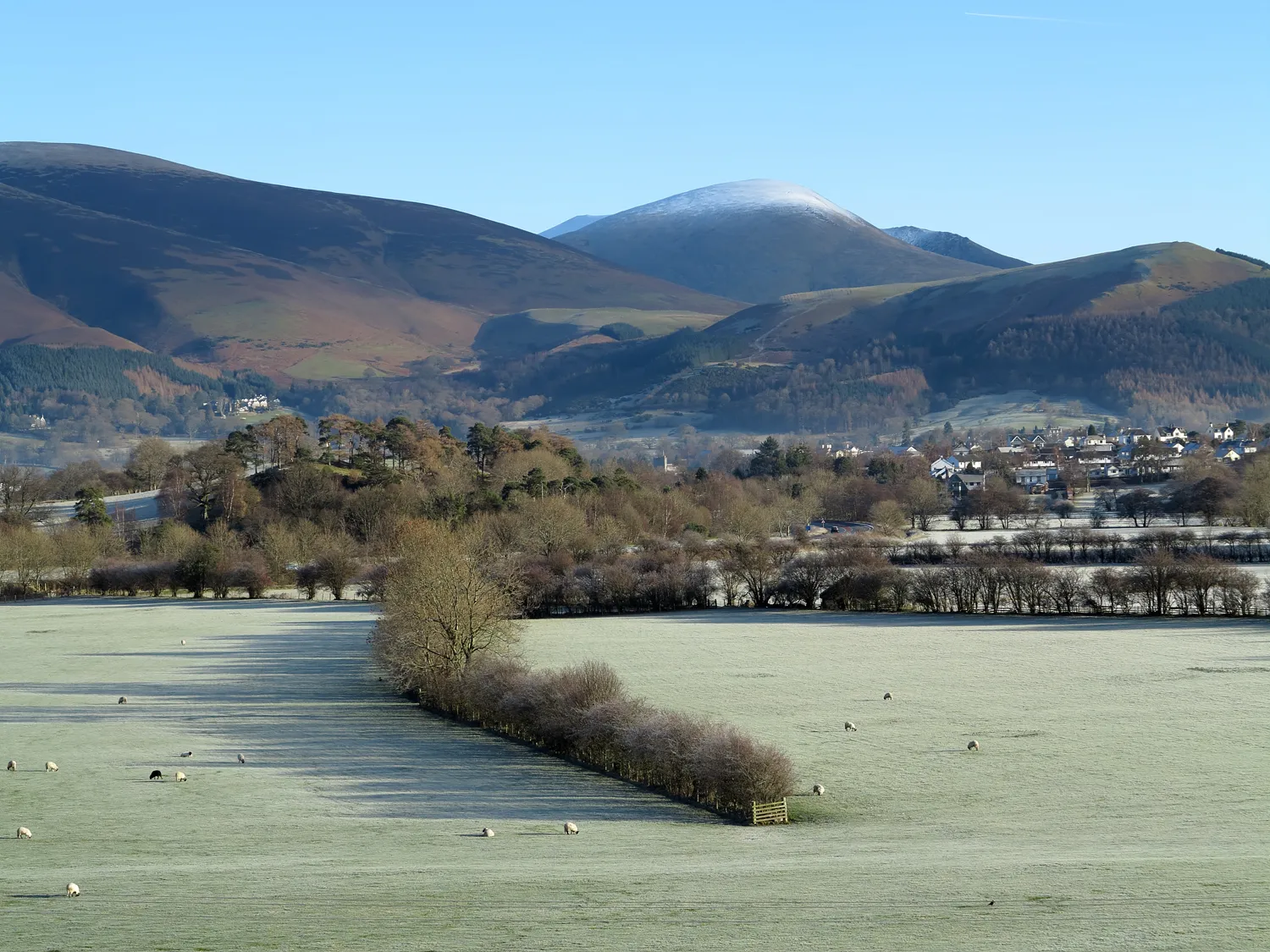 Photo showing: Field north of Little Braithwaite