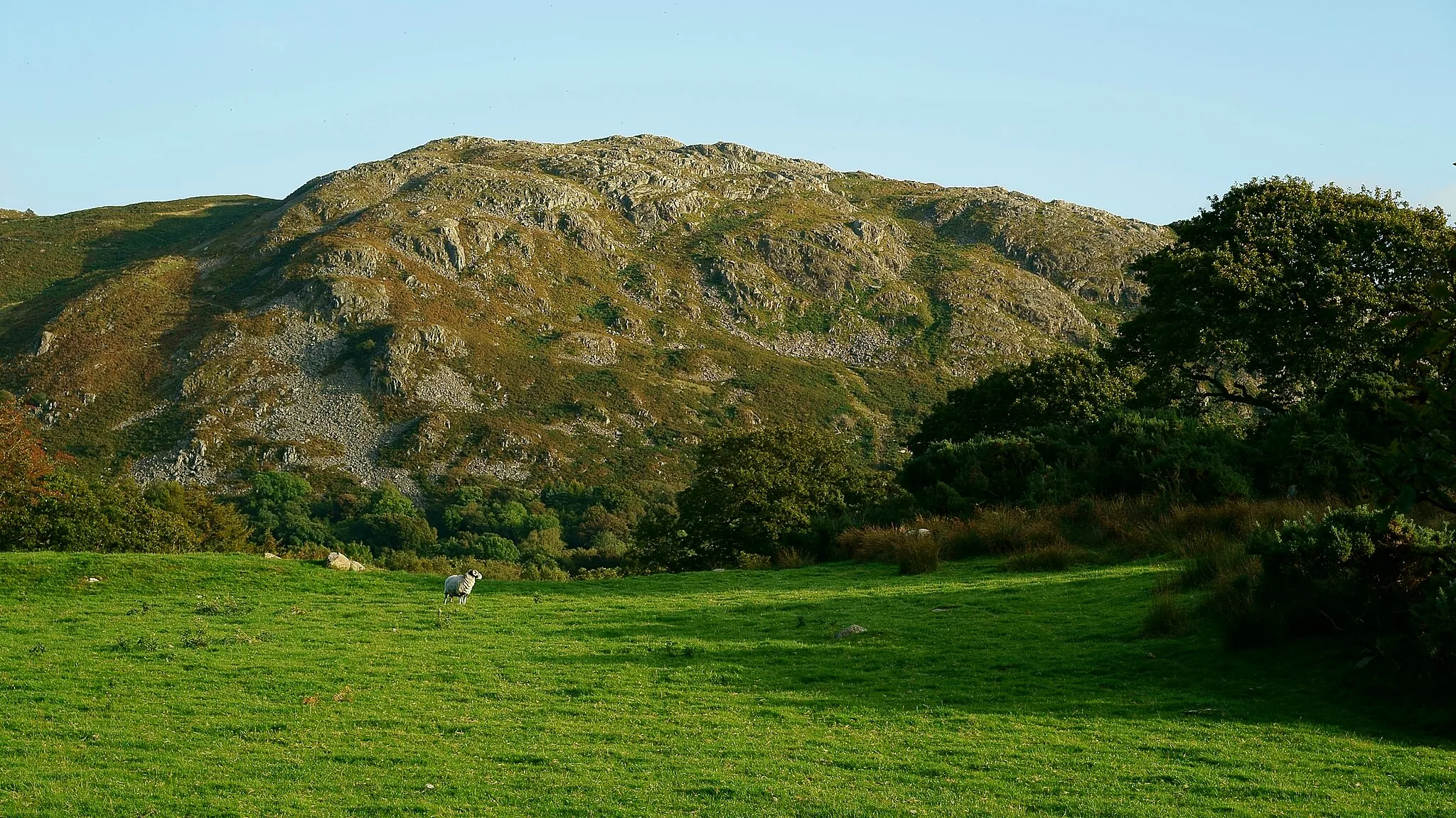 Photo showing: Sheep in the Eskdale Valley
