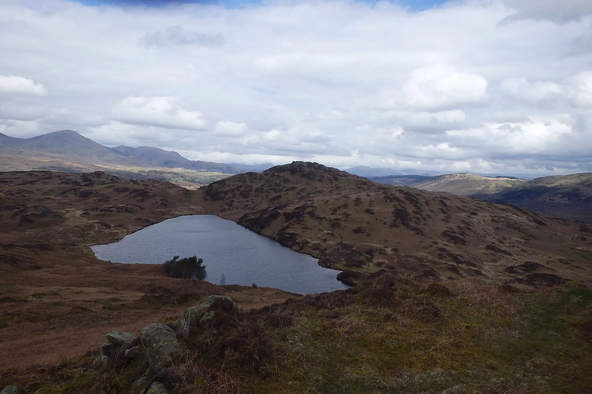 Photo showing: On Wool Knott