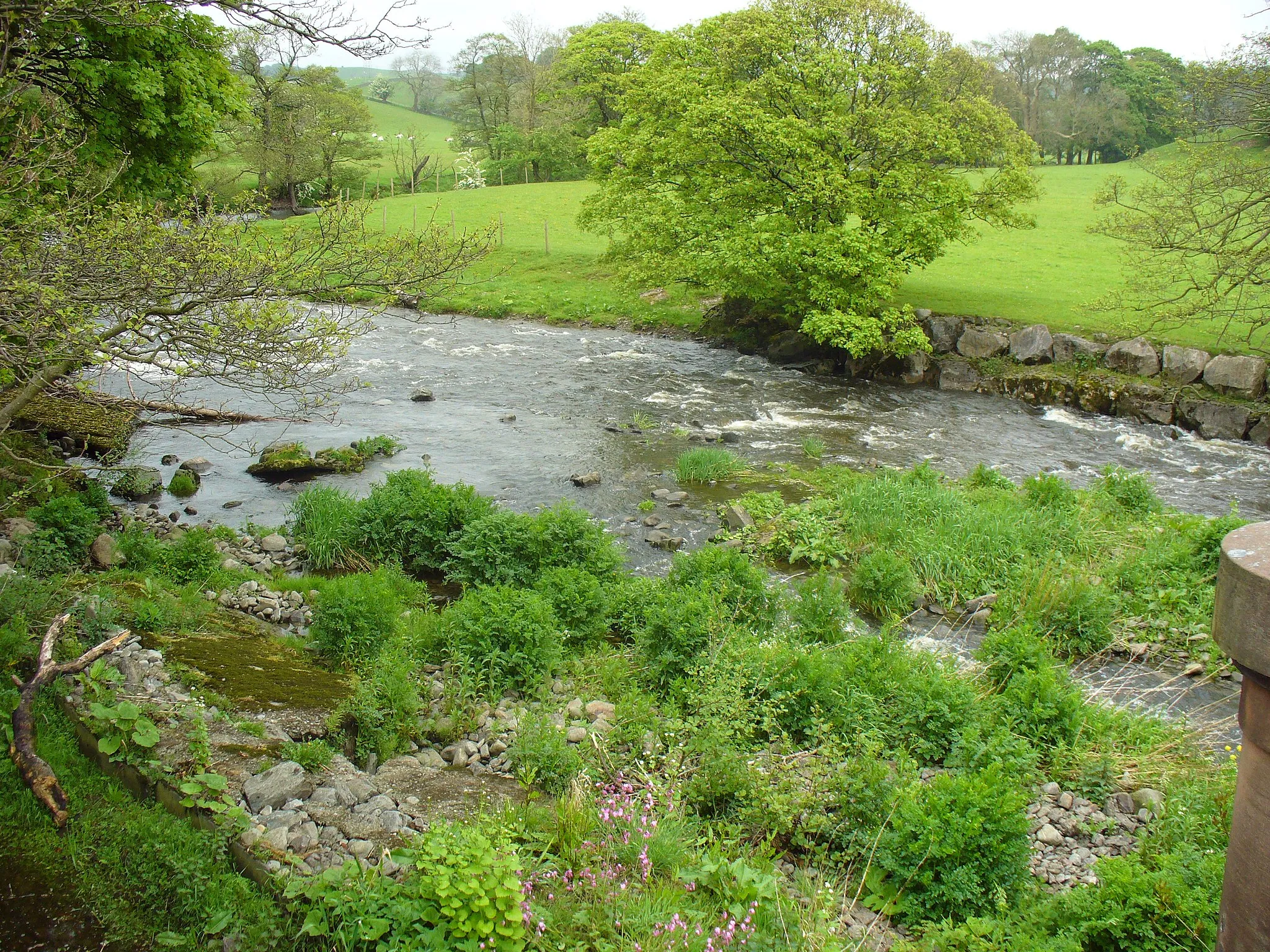 Photo showing: River Mint River Mint just before weir at Millcrest