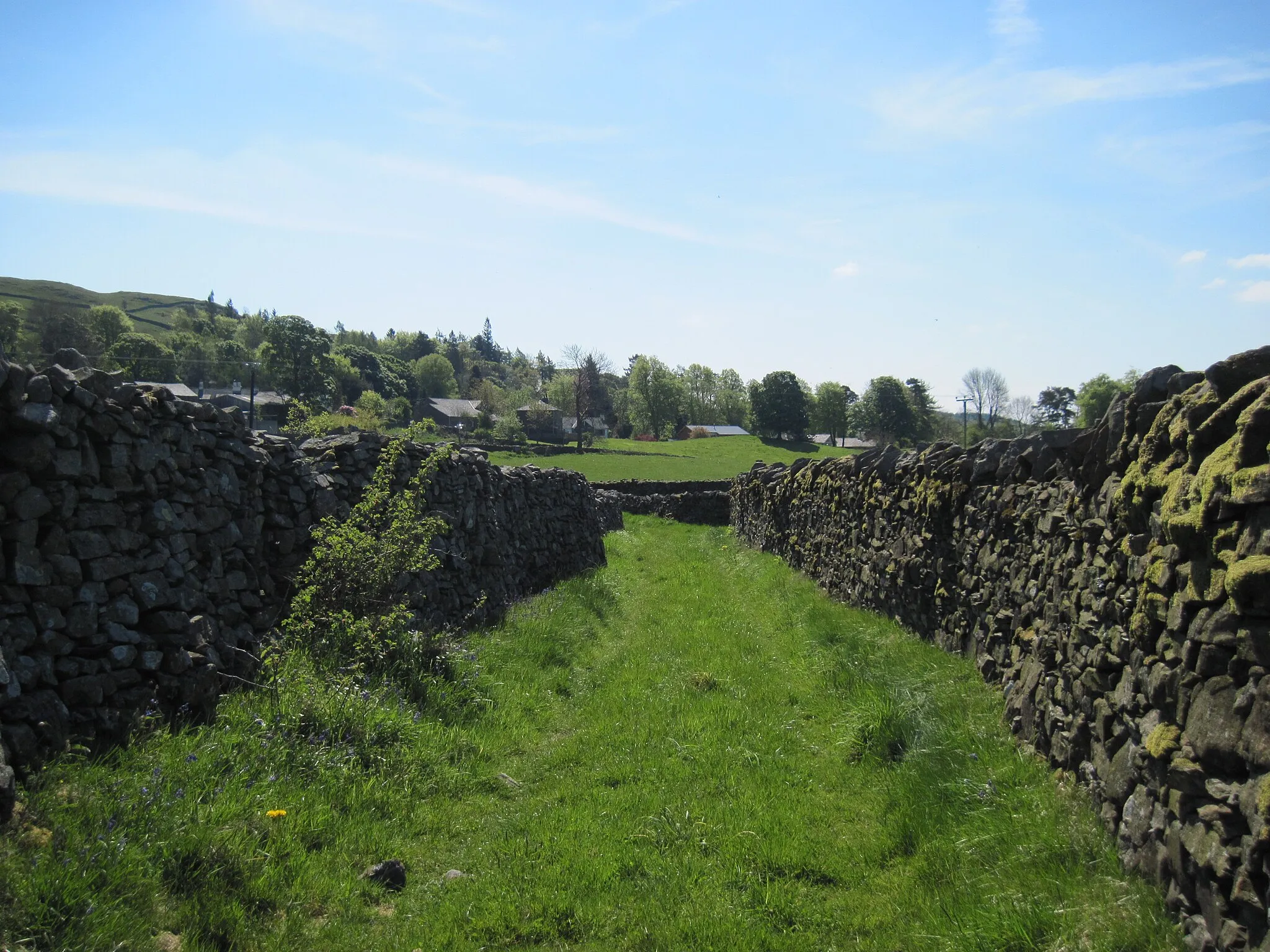 Photo showing: The  track  to  Common  Farm