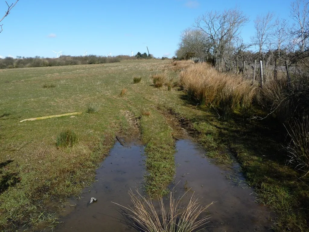 Photo showing: Waterlogged field entrance, west of Gregg Hill