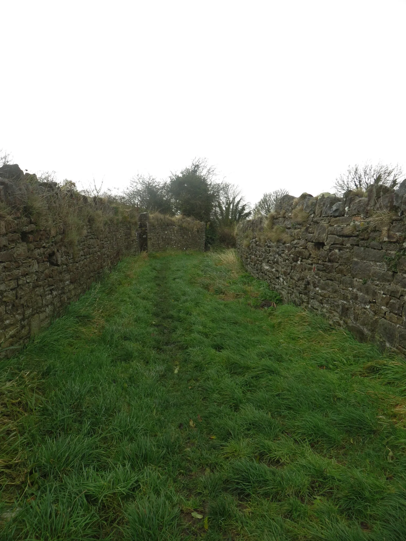 Photo showing: Harper's Lane, Greysouthen