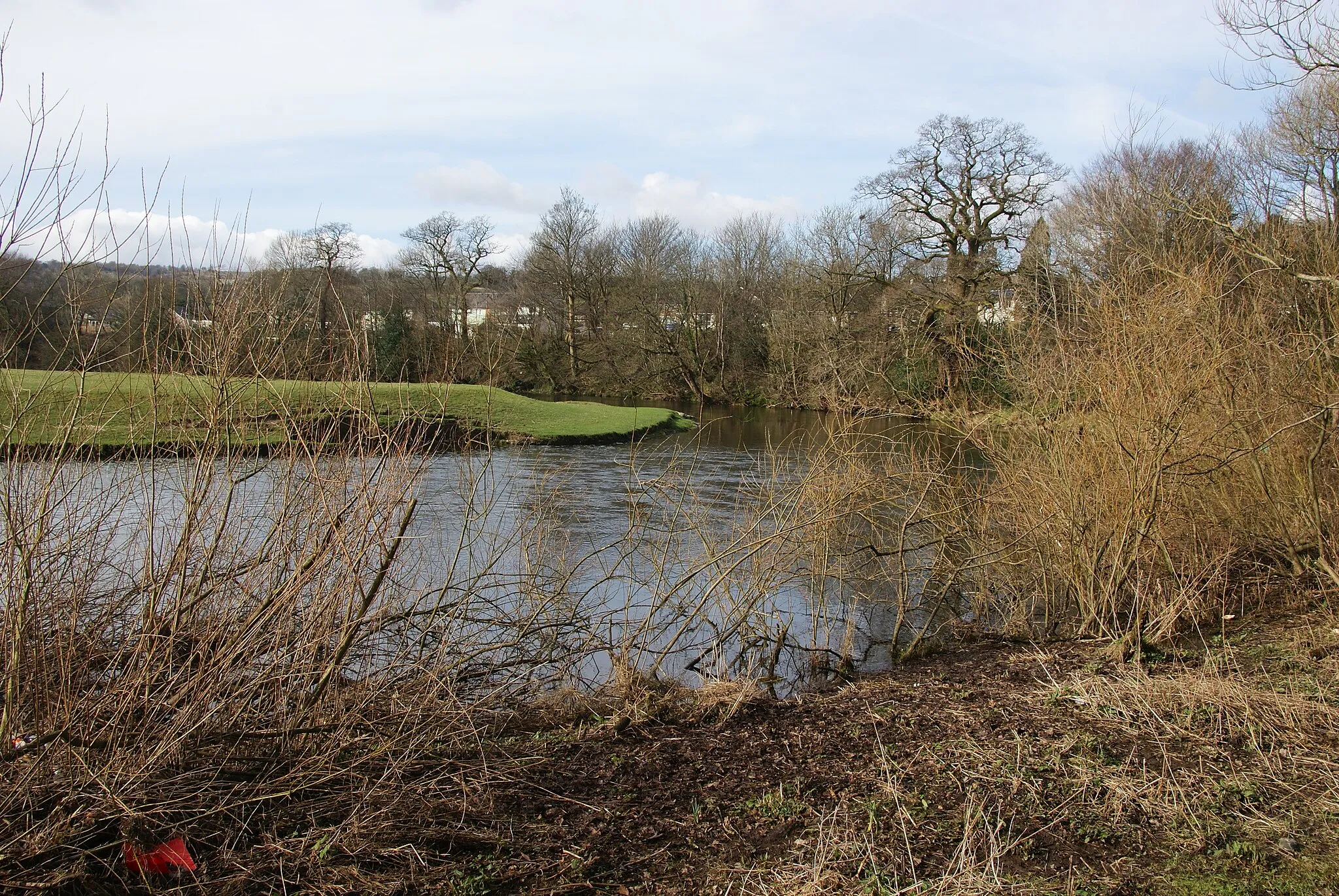 Photo showing: River Kent by Scroggs Wood